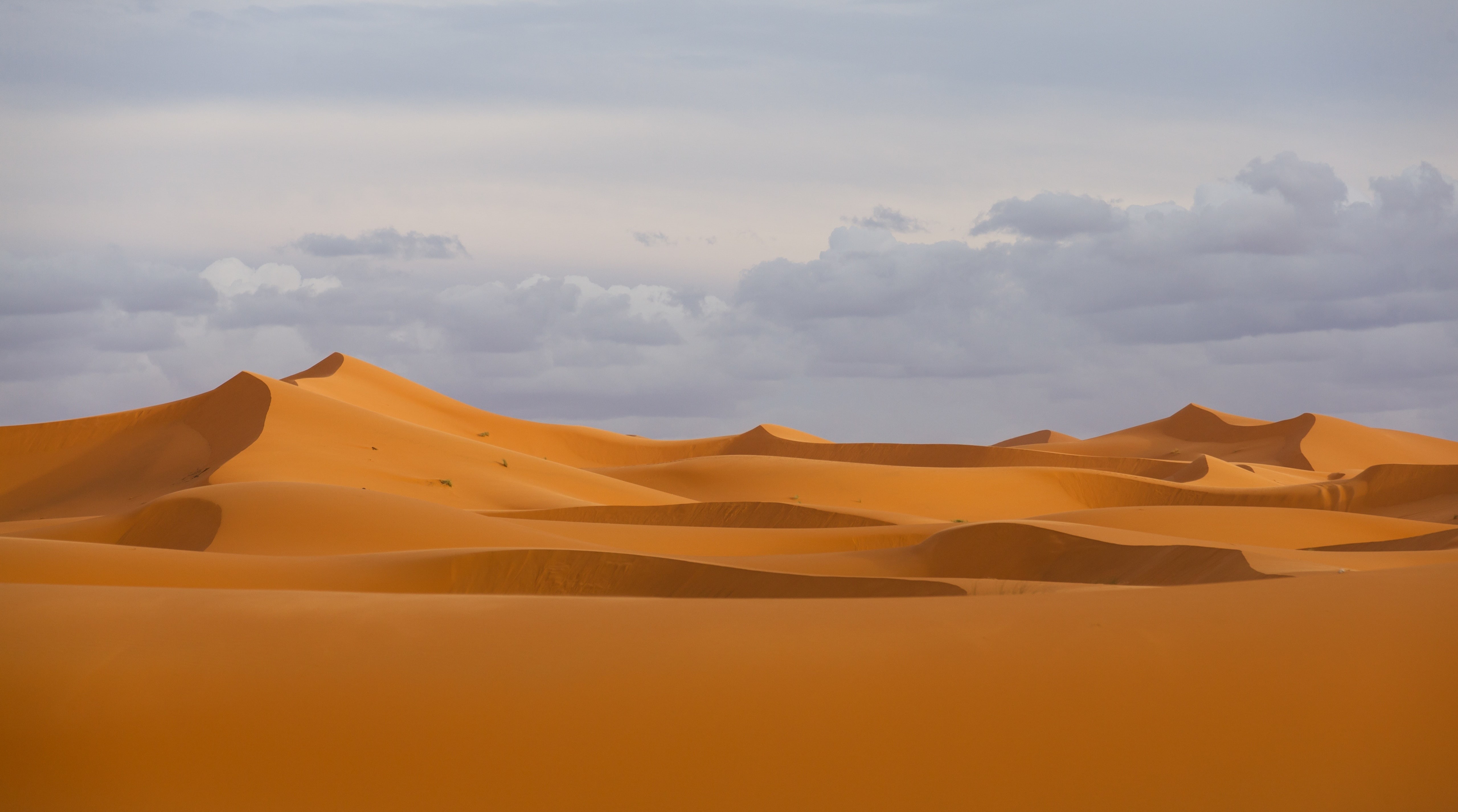 Hassilabied, Desert, scenics - nature, beauty in nature, 5K, remote, morocco, environment, sahara, Dunes, arid climate, day, greatest, nature, sky, Travel, HD Wallpaper