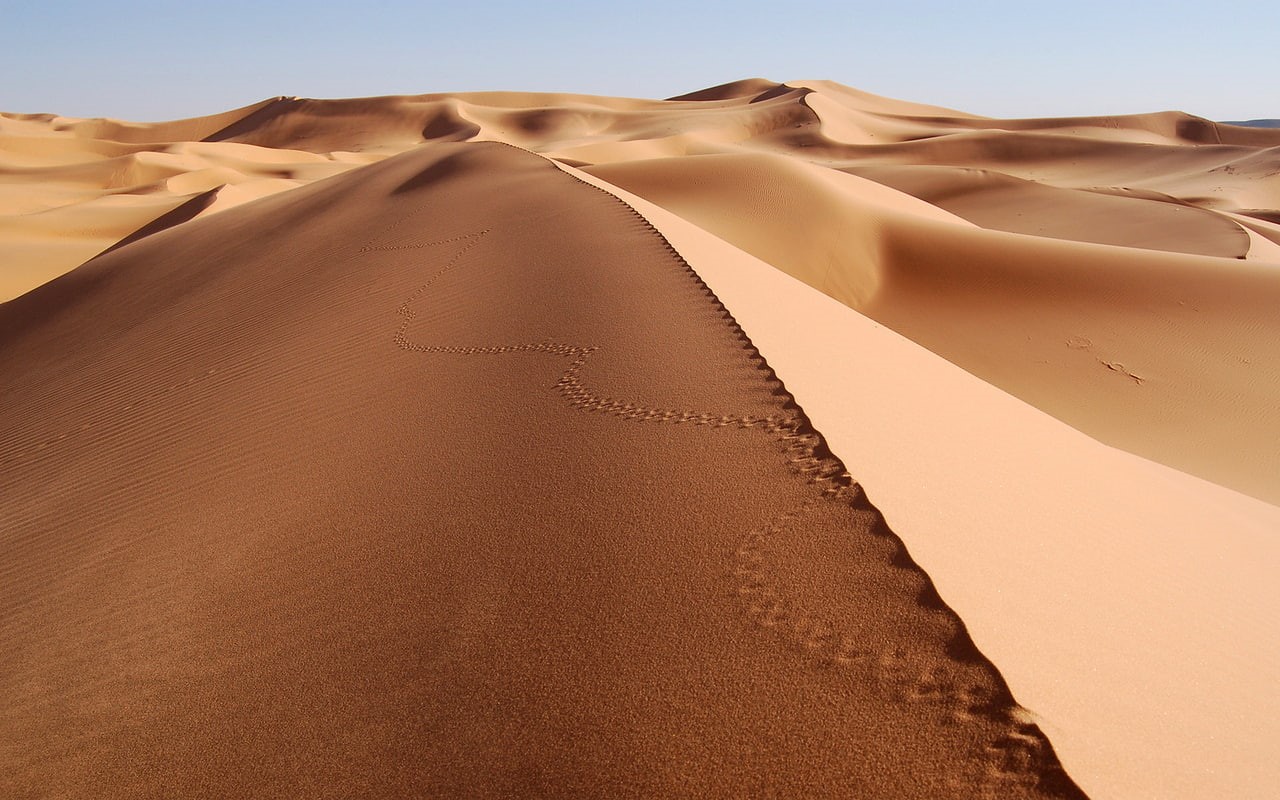 desert, dune, landscape, 720P, sand, footprints, sahara, HD Wallpaper