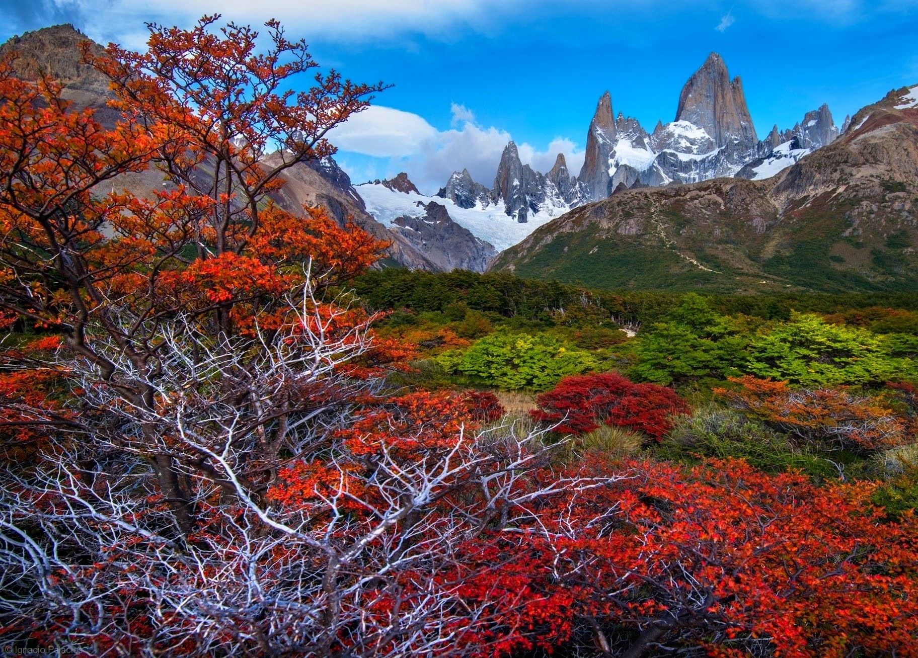 landscape, snowy peak, nature, fall, trees, 720P, mountains, forest, Argentina, Patagonia, HD Wallpaper