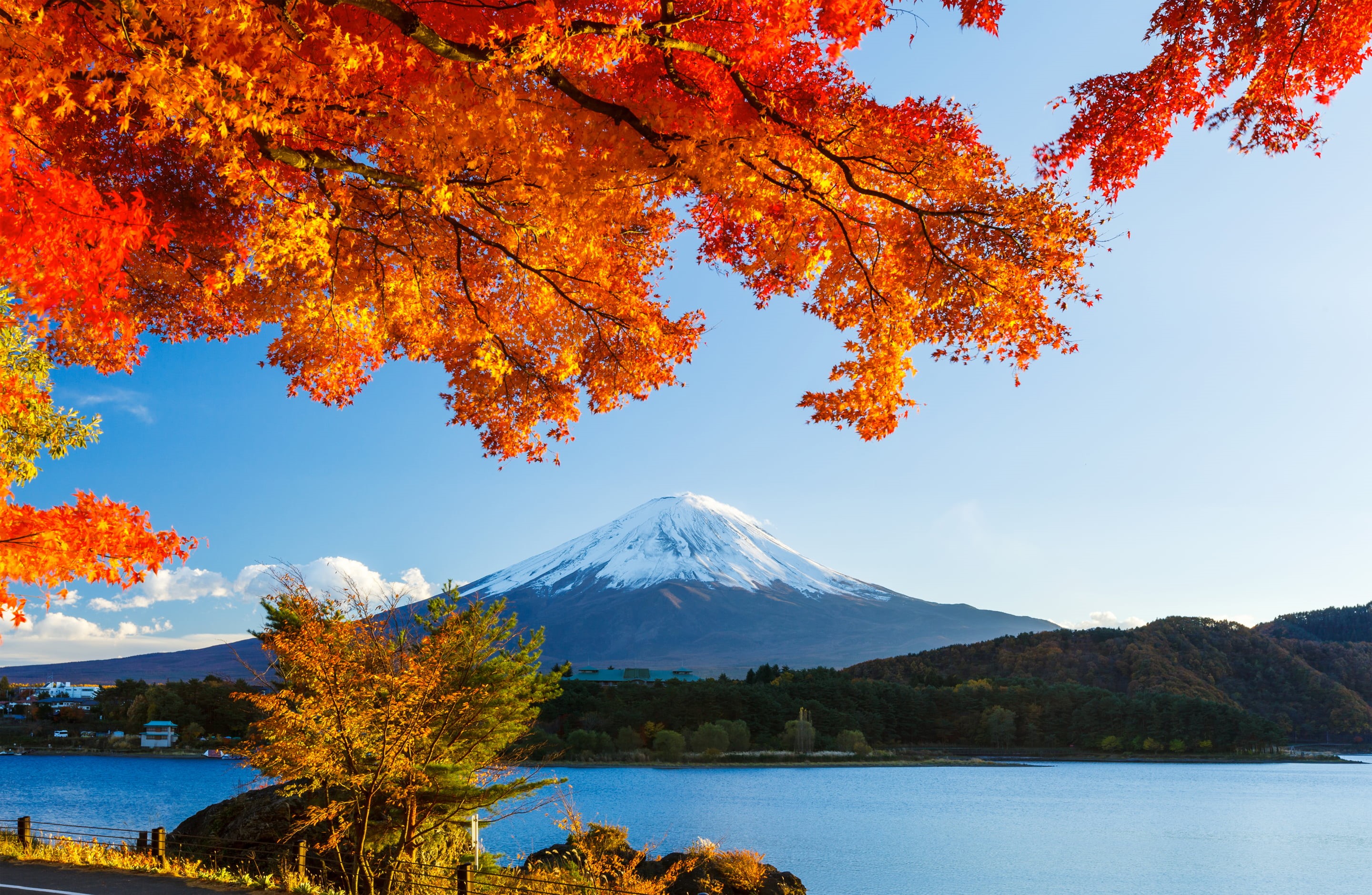 Fuji, water, mt, season, forest, scenics - nature, travel, beauty In Nature, outdoors, tranquility, sky, mountain Peak, change, non-urban scene, autumn, HD Wallpaper
