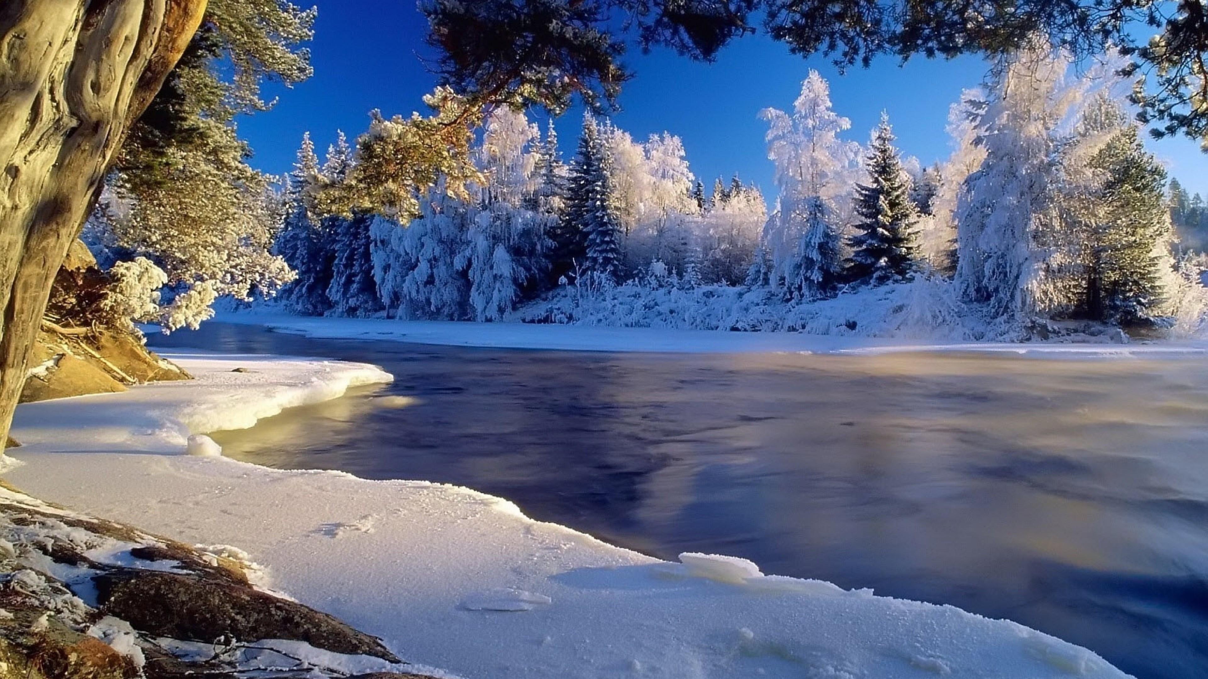 scenery, snow, hoarfrost, winter, river, forest, frost, coast, cold, ice, 4K, icy, HD Wallpaper