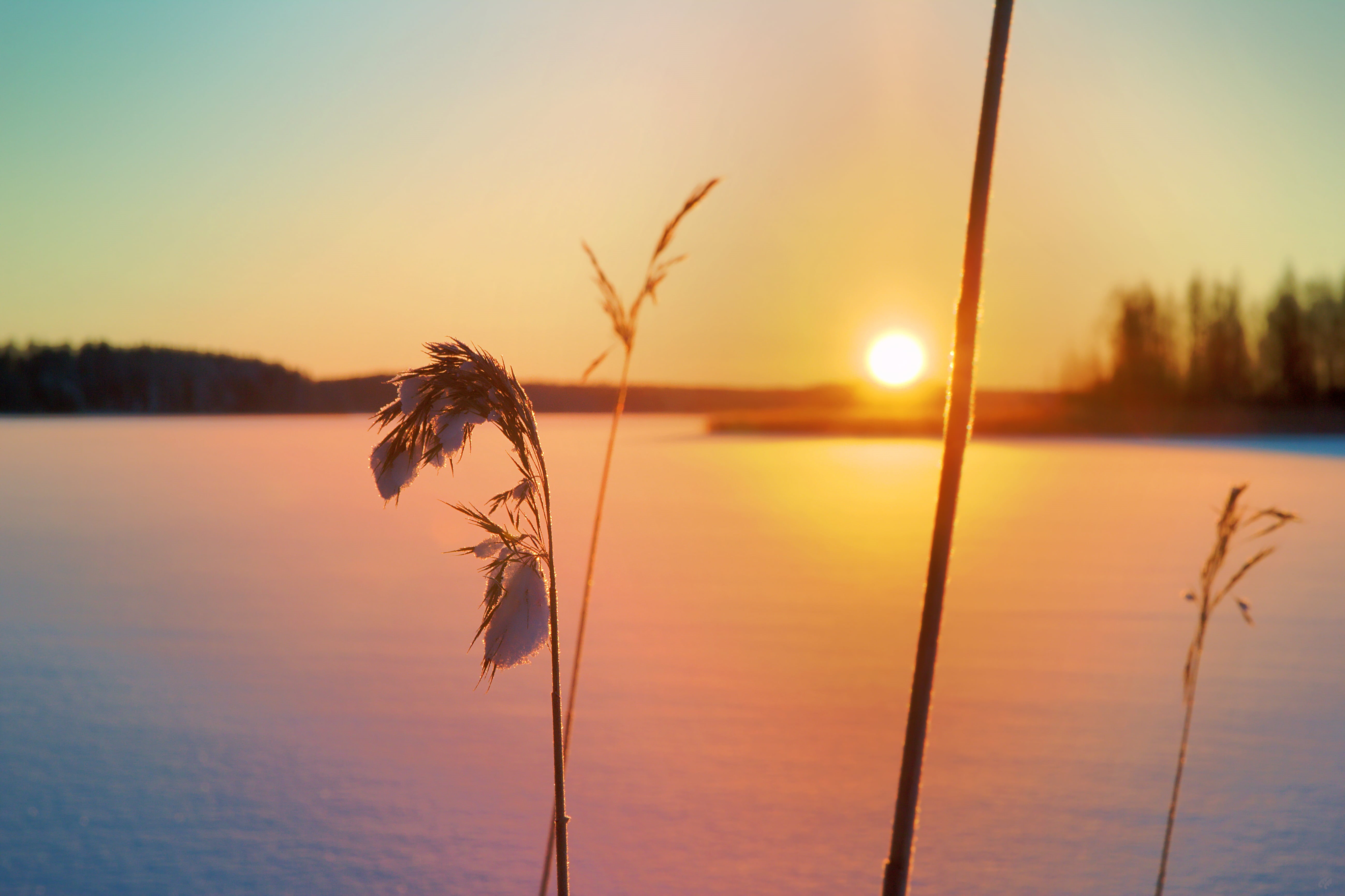 water, sun, Ice  Lake, outdoors, landscape, lake, sunlight, summer, Christmas, dusk, sky, reflection, Sunset, Hauho, Icy, horizon, Sunrise, Sun  Rise, Roine, HD Wallpaper