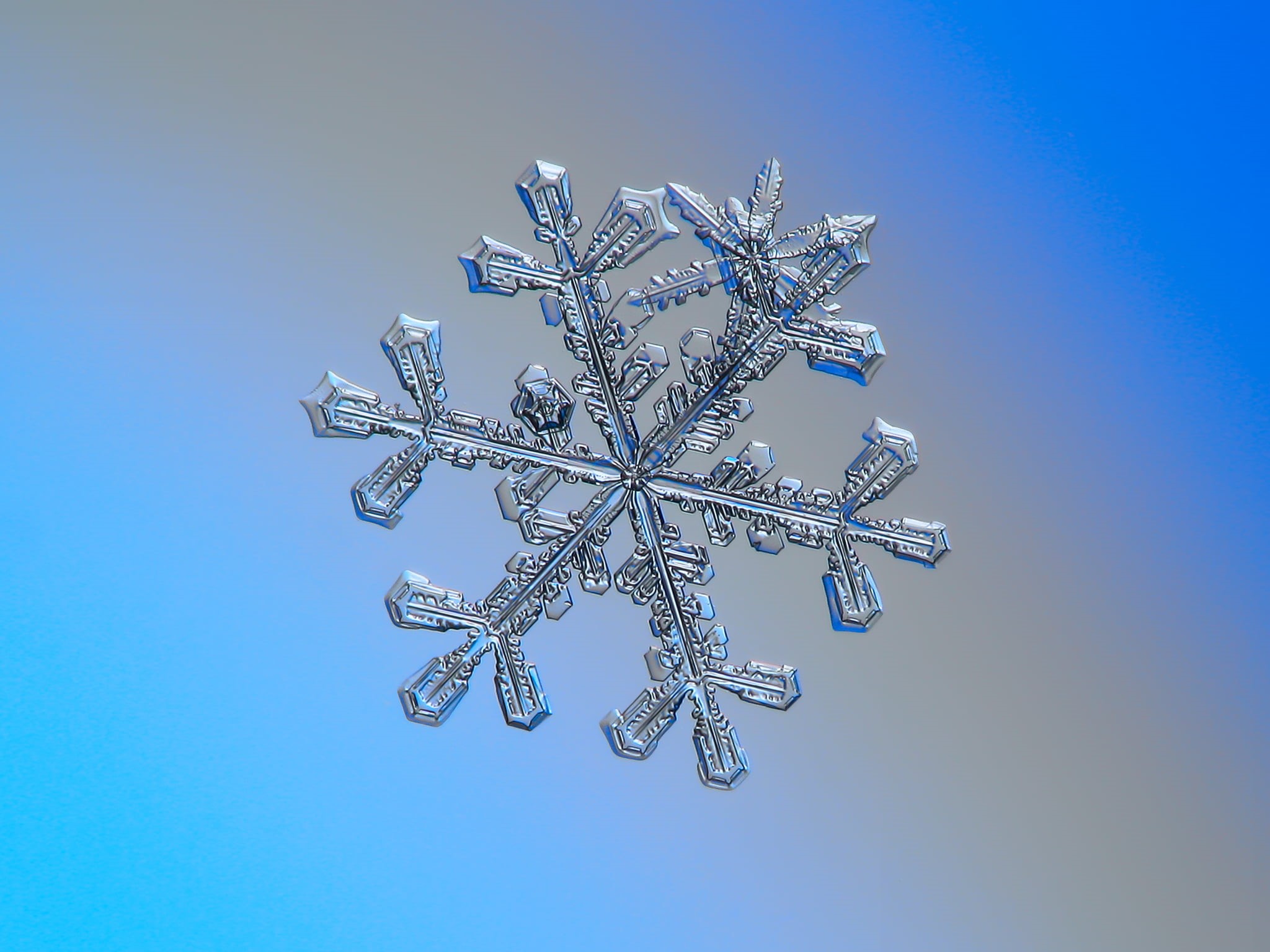 new year, shape, abstract, microscopic, fine, ornament, artwork, elegant, shiny, white, 1080P, snow  crystal, outdoor, structure, decoration, fragility, HD Wallpaper