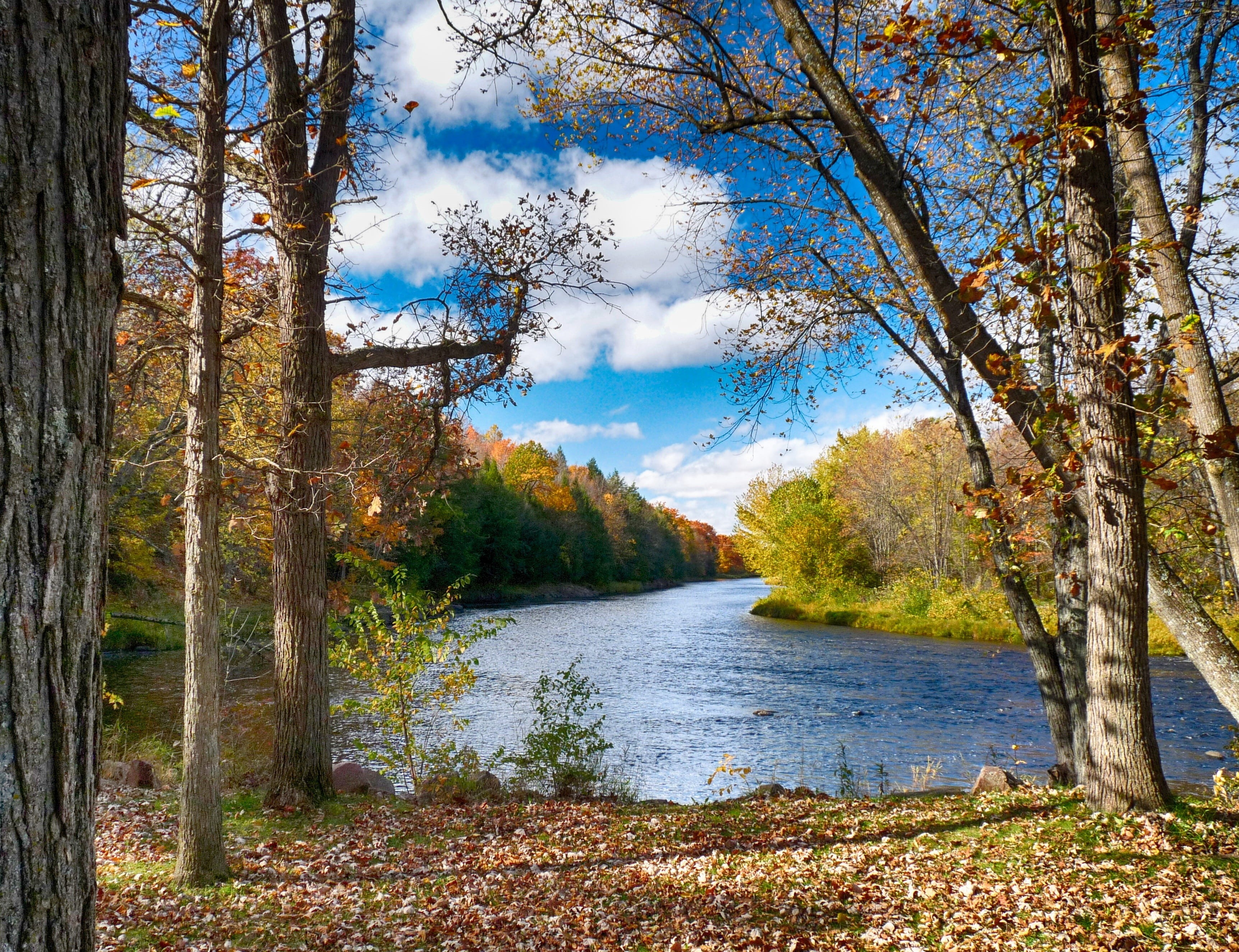 hdr, river, color Image, green forest, tranquil Scene, green Color, non-Urban Scene, trees, cloud - sky, change, foliage, scenics - nature, forest, colorful, HD Wallpaper