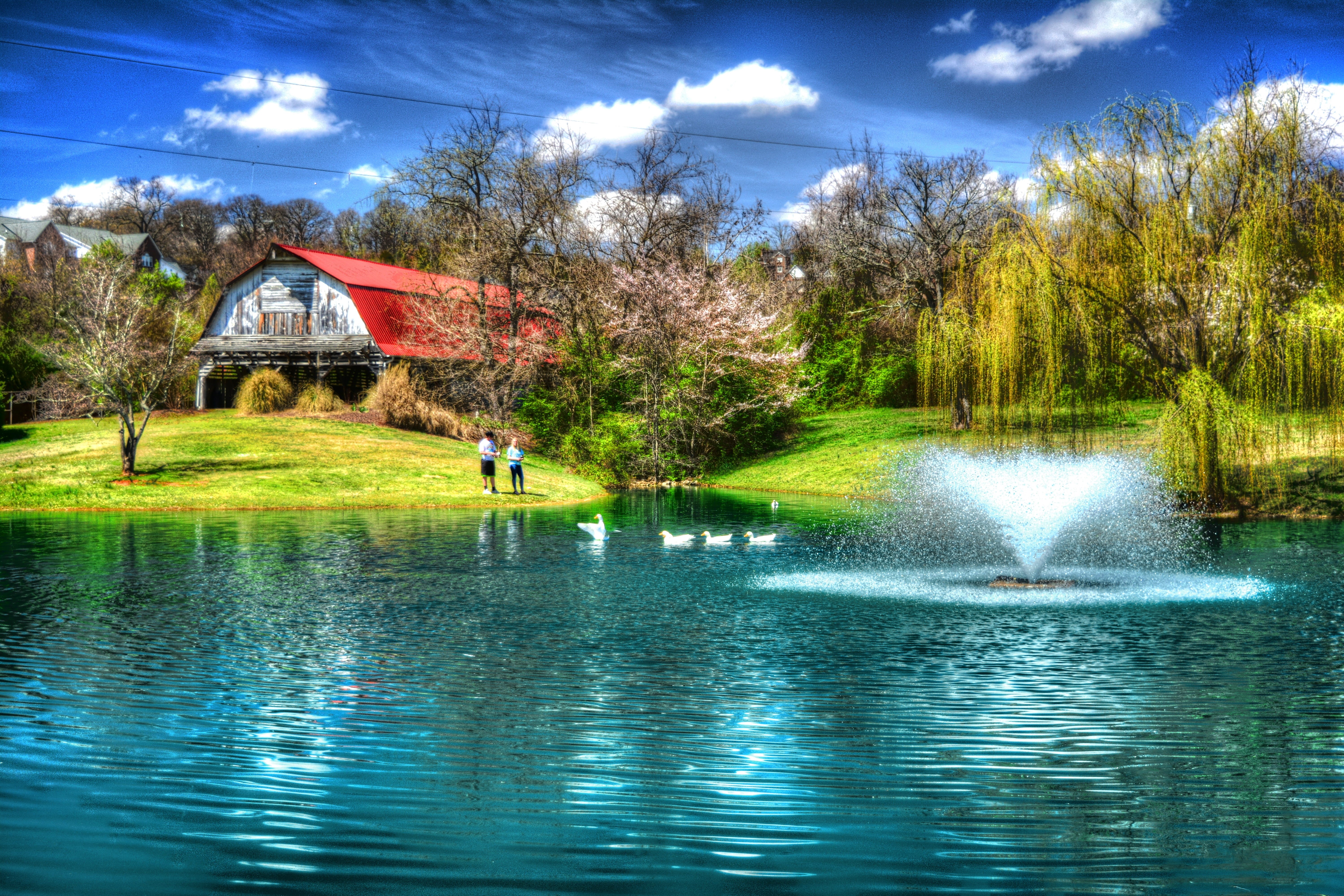 house, red and white, lifestyles, pond, summer, reflection, wooden, ducks, water, tree, rural, countryside, red, scenics, outdoors, daytime, lake, waterfront, HD Wallpaper