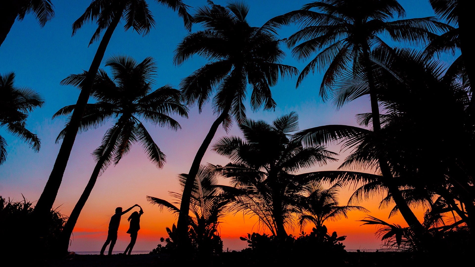 couple, romantic, evening, tropics, sunset, silhouette, palm tree, romance, dusk, 1080P, HD Wallpaper