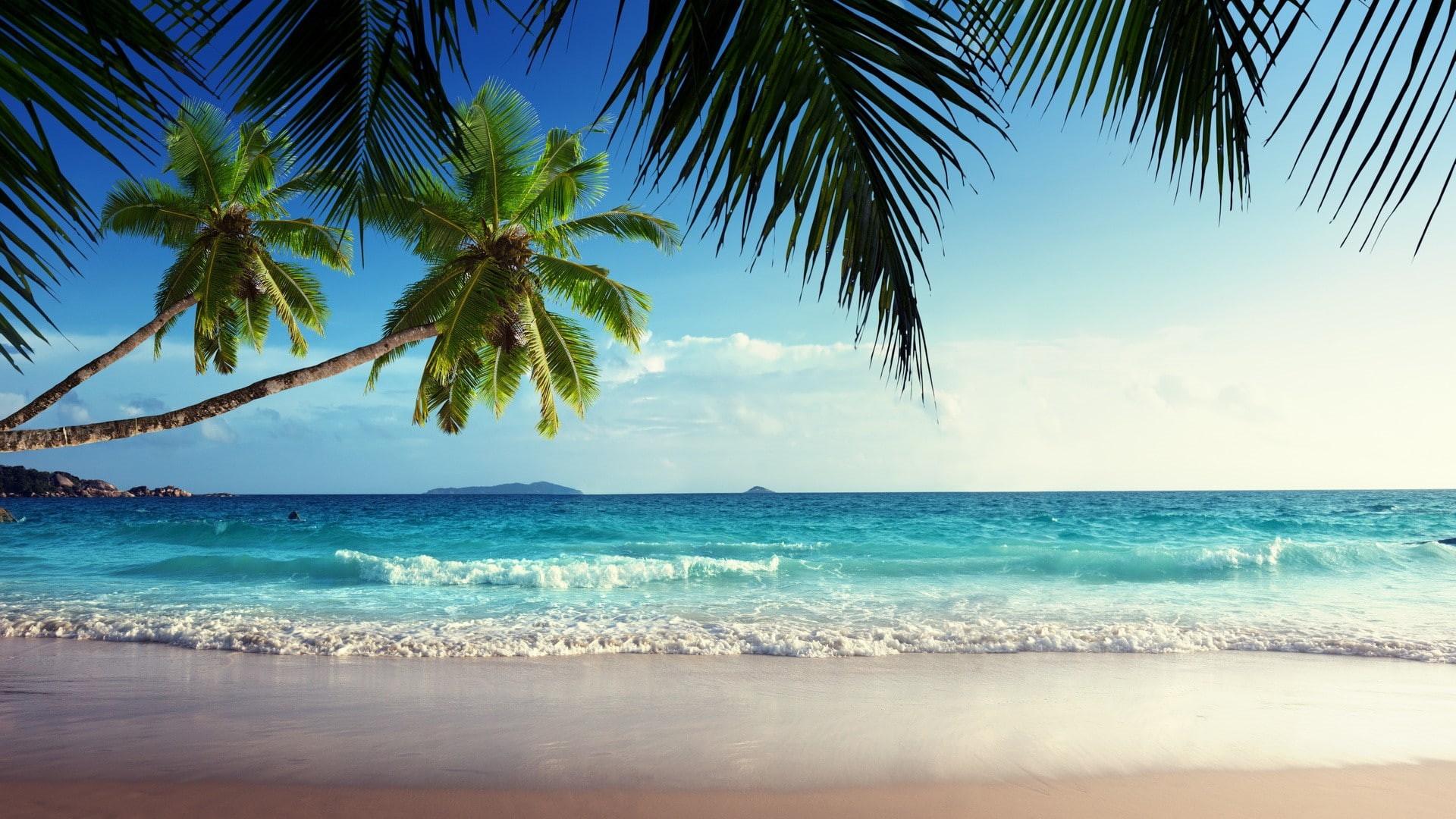 beach, palm trees, sea, tropical, landscape, 1080P, HD Wallpaper
