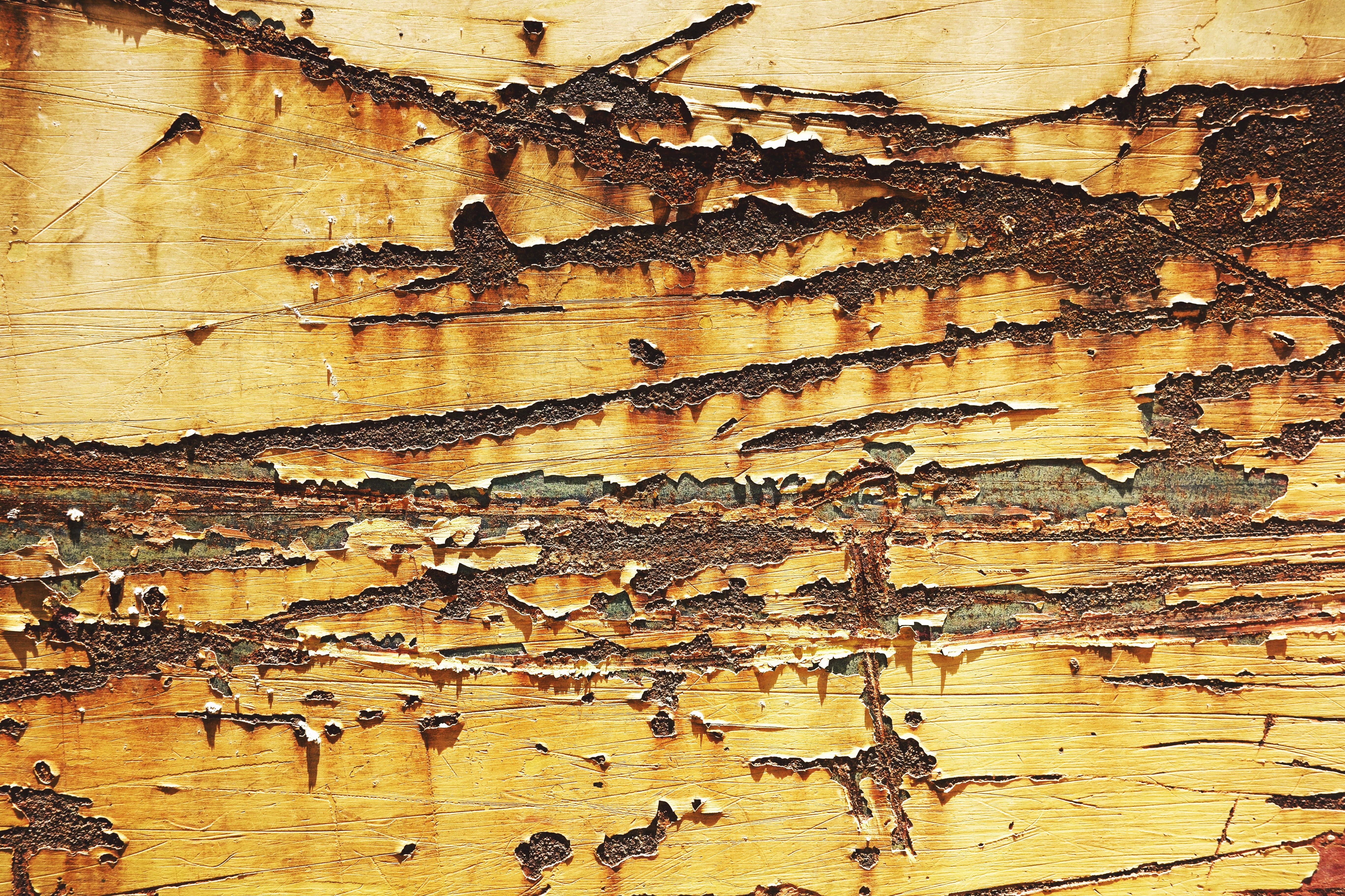 backgrounds, scratches, metallic, brown, no people, retro, yellow, background, damaged, bark, steel, design, hard, natural pattern, metal, scratch, dirty, HD Wallpaper