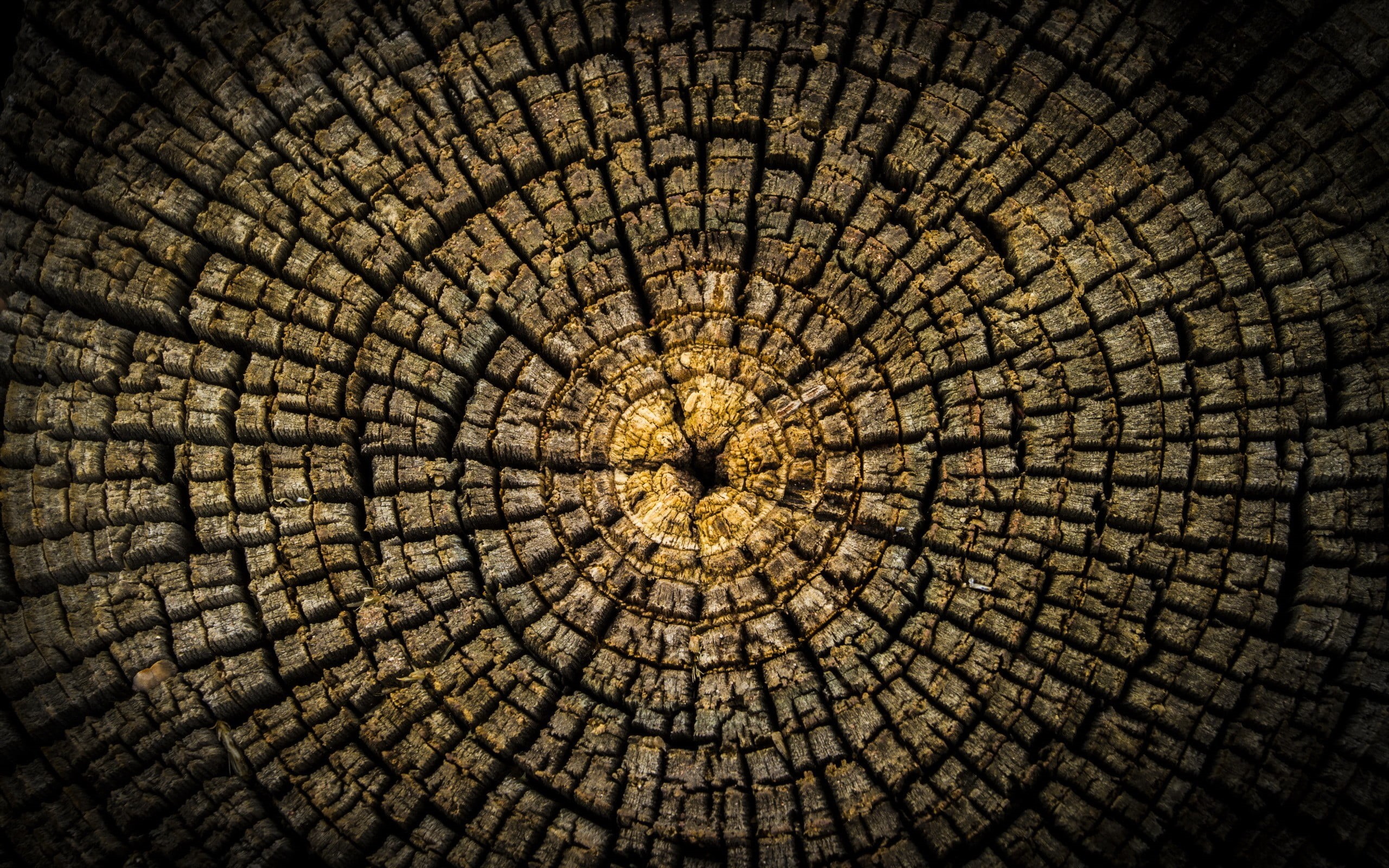 full frame, day, minimalism, brown, cracked, circle, concentric, textured, tree ring, log, cross section, 2K, natural pattern, no people, wood - material, HD Wallpaper