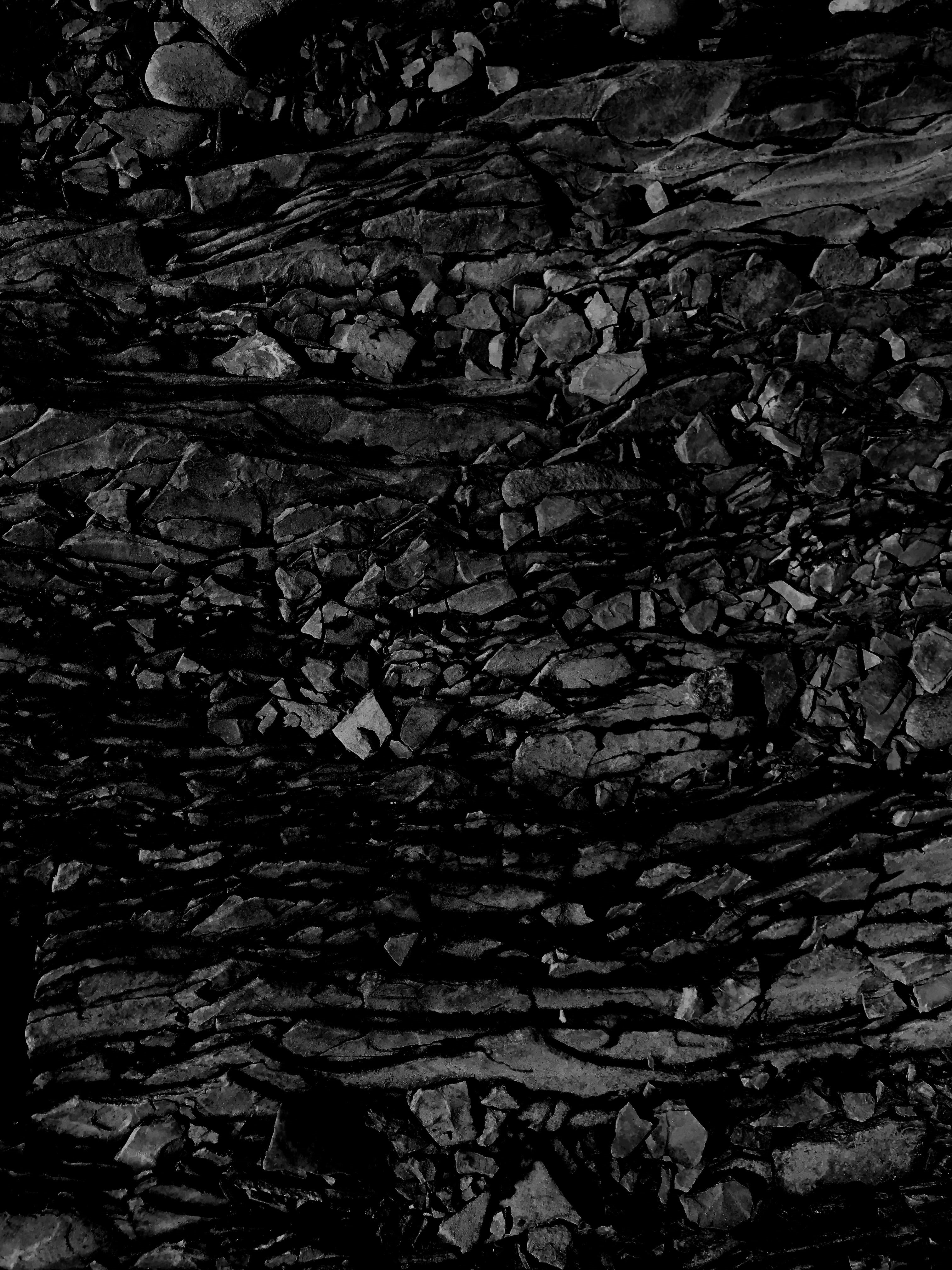 nature, rough, canada, backgrounds, texture, trunk, plant, tree trunk, 4K, tranquility, black, bark, quebec, no people, day, close-up, outdoors, growth, Phone HD Wallpaper