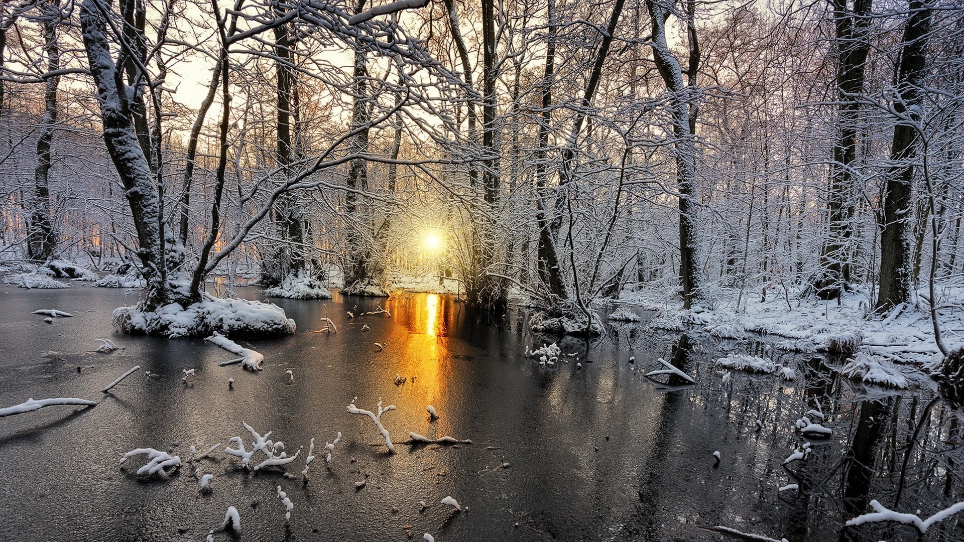 nature, trees, yellow, trunk, landscape, tree, frost, plant, terrain, bare tree, cold temperature, reflection, scenics - nature, water, forest, Sweden, HD Wallpaper