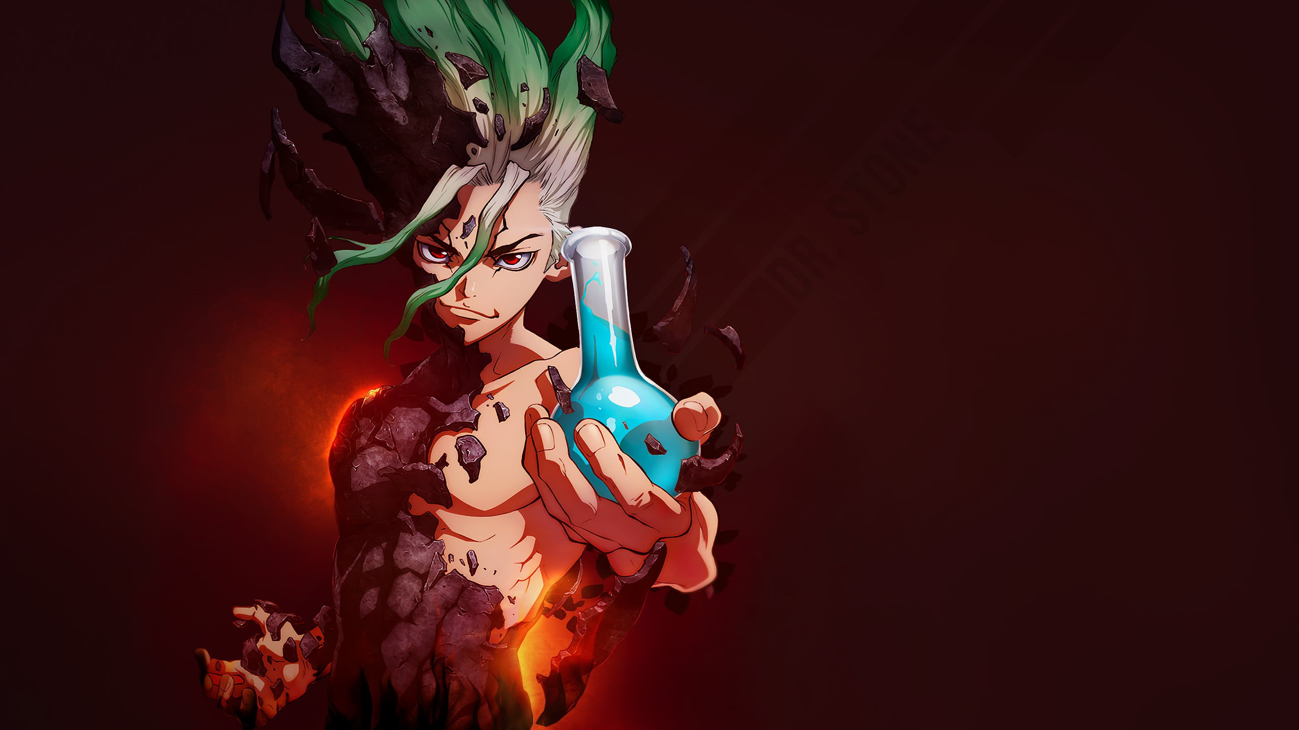 Dr. Stone, flask, 2K, anime, HD Wallpaper