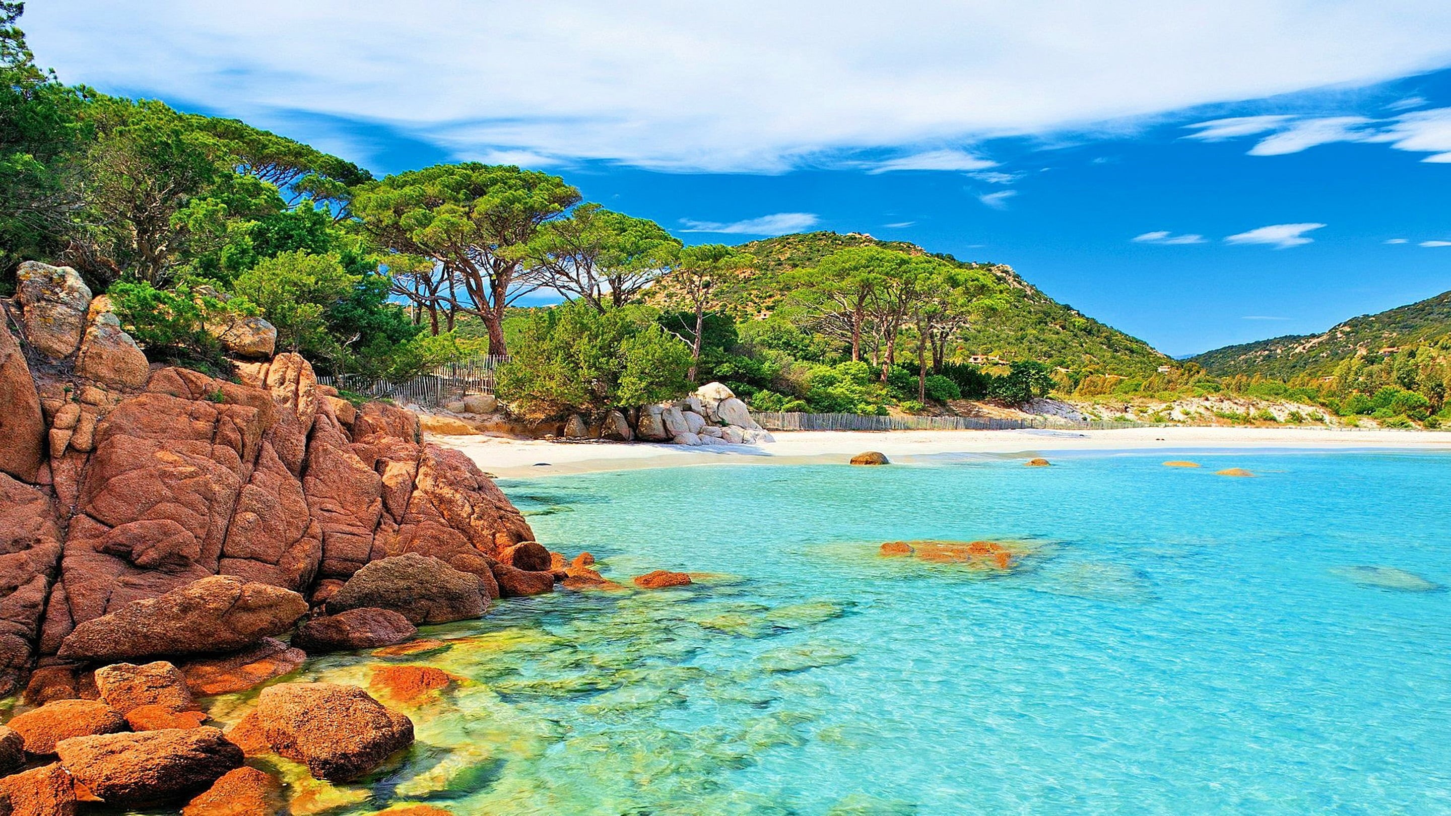  palombaggia, france, turquoise colored, beach, plant, tranquil scene, land, water, 2K, laptop, tree, nature, travel destinations, phones, scenics - nature, HD Wallpaper