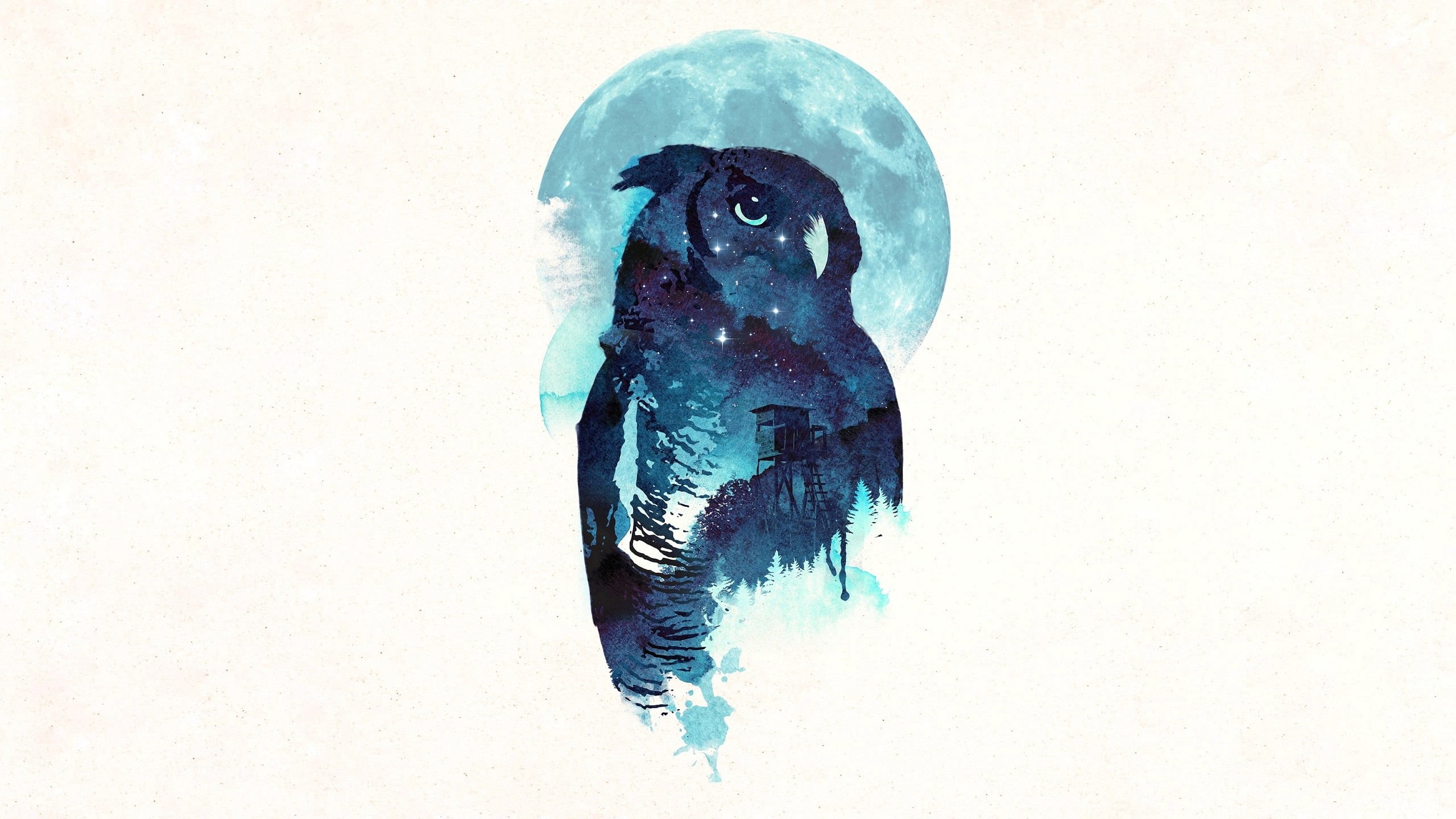 Owl, 2K, Midnight, Robert Farkas, HD Wallpaper