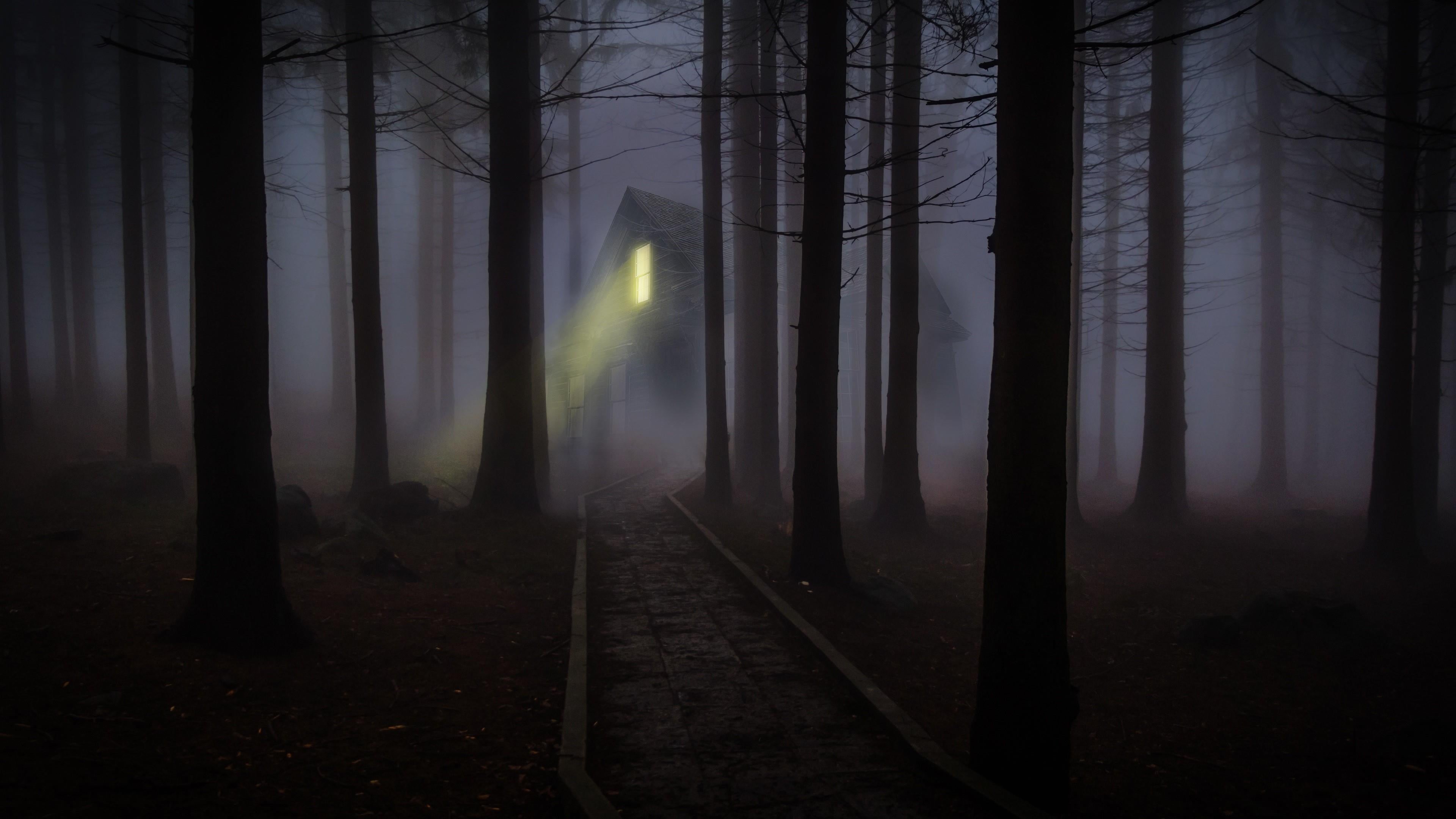 darkness, nature, scenics - nature, haunted house, plant, spruce fir forest, woods, trees, growth, tree trunk, atmosphere, beauty in nature, night, mystic, HD Wallpaper