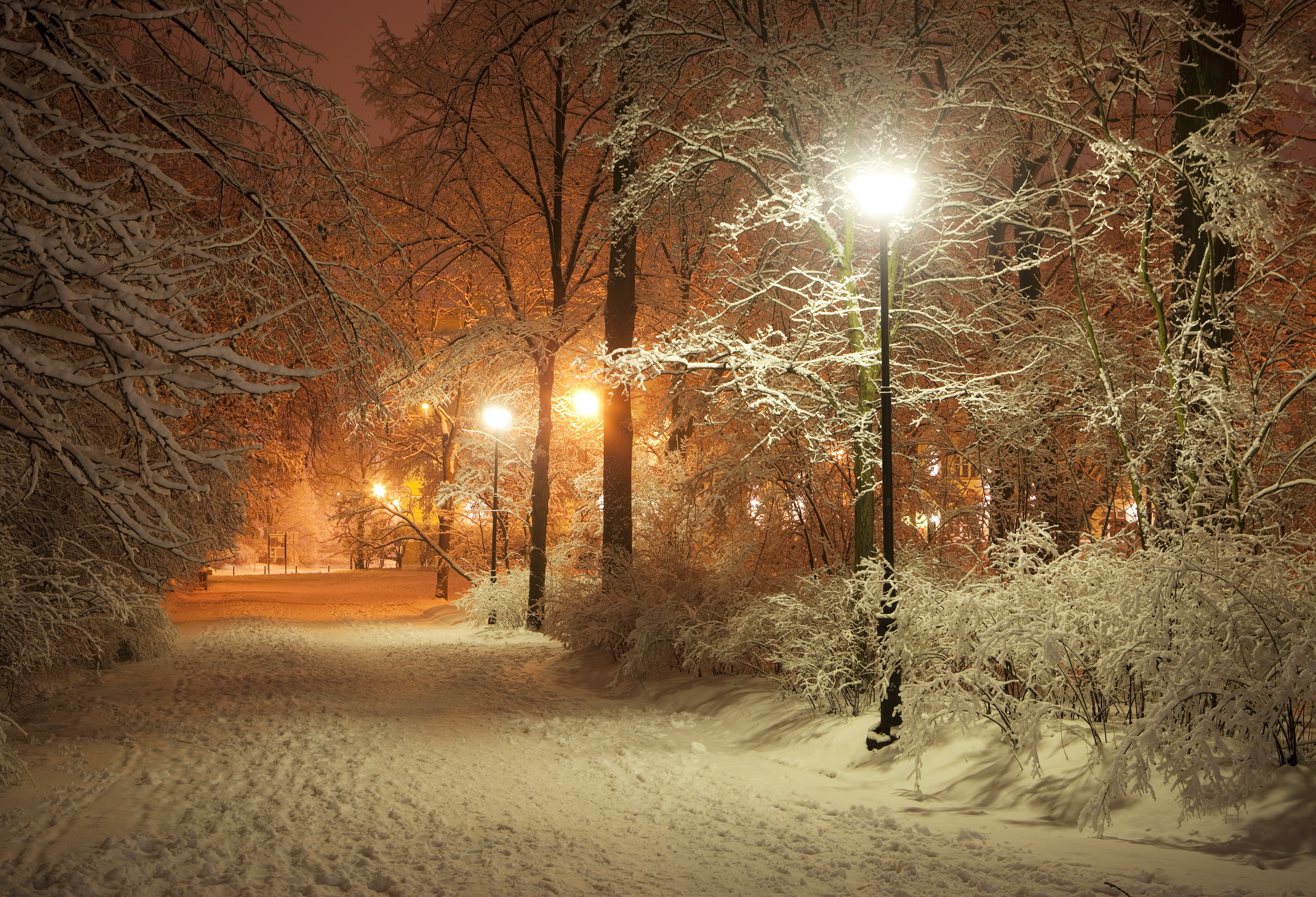 footpath, street Light, the way forward, christmas, covering, tree, beautiful scene, city, a romantic evening, light - Natural Phenomenon, snow, winter Park, HD Wallpaper