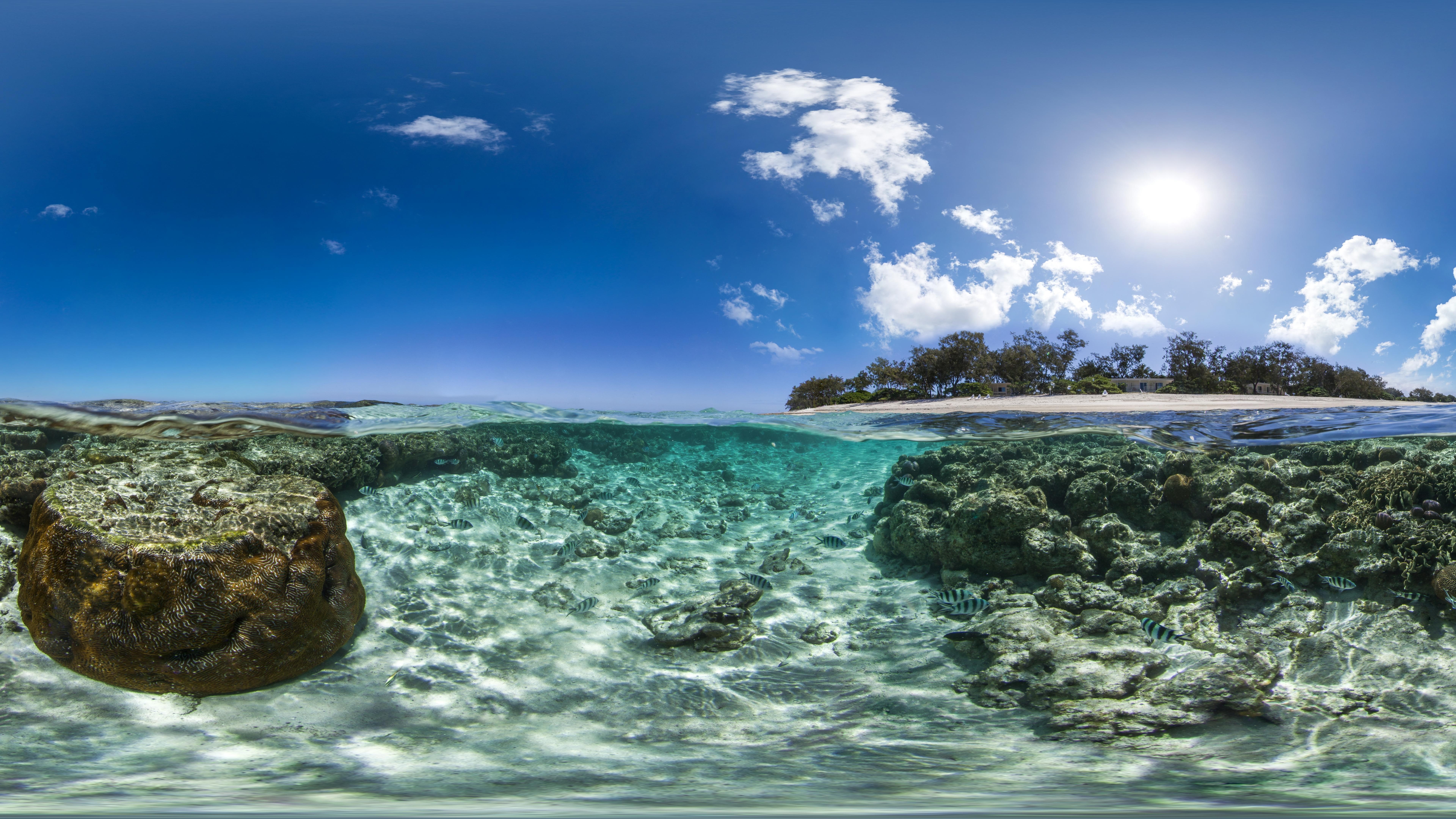 sunshine, horizon, coast, water, queensland, daytime, shore, fish, fishes, islet, coral reef, tropics, sea rock, underwater, sea, sky, blue sky, ocean, HD Wallpaper