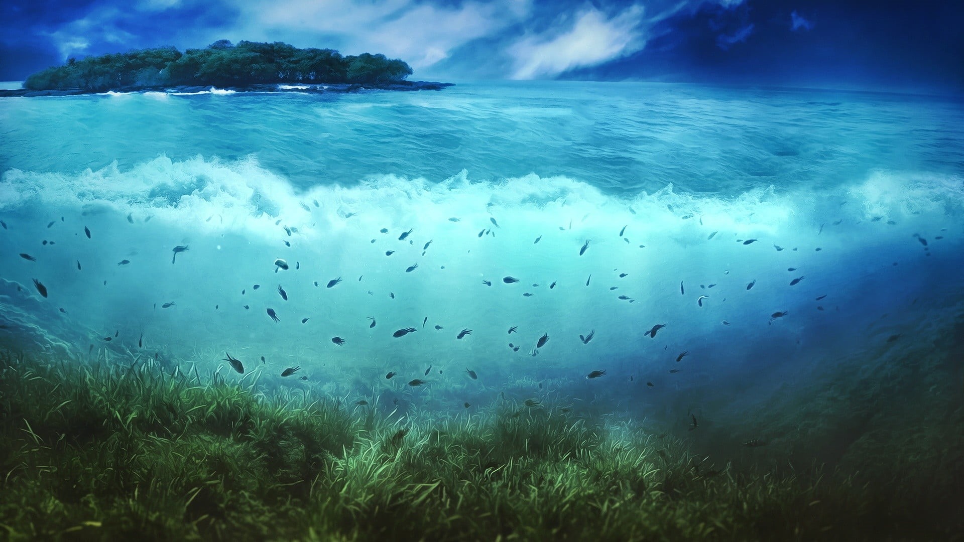sea, undersea, underwater, group of animals, land, island, animals in the wild, water, outdoors, animal wildlife, beauty in nature, large group of animals, HD Wallpaper