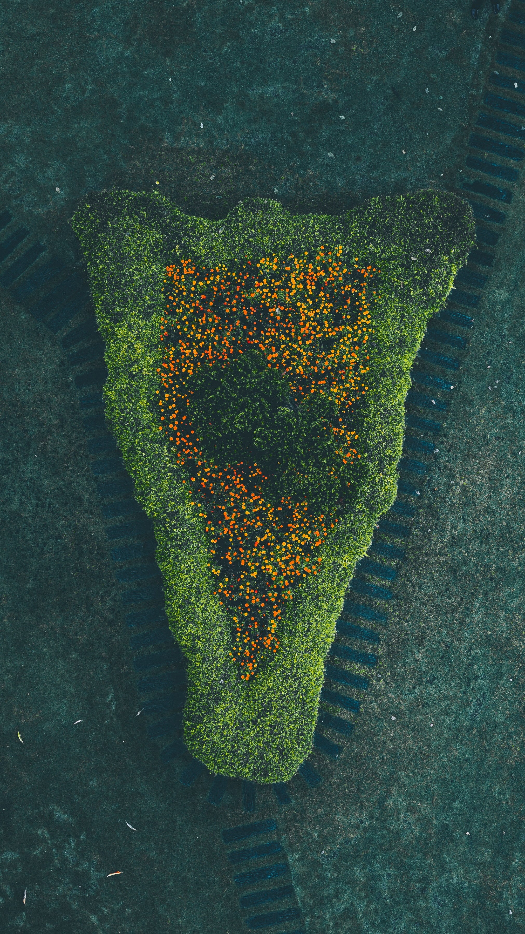 day, directly above, freshness, food and drink, flower, vegetable, close-up, islet, photography, beauty in nature, high angle view, heart shape, aerial, Phone HD Wallpaper