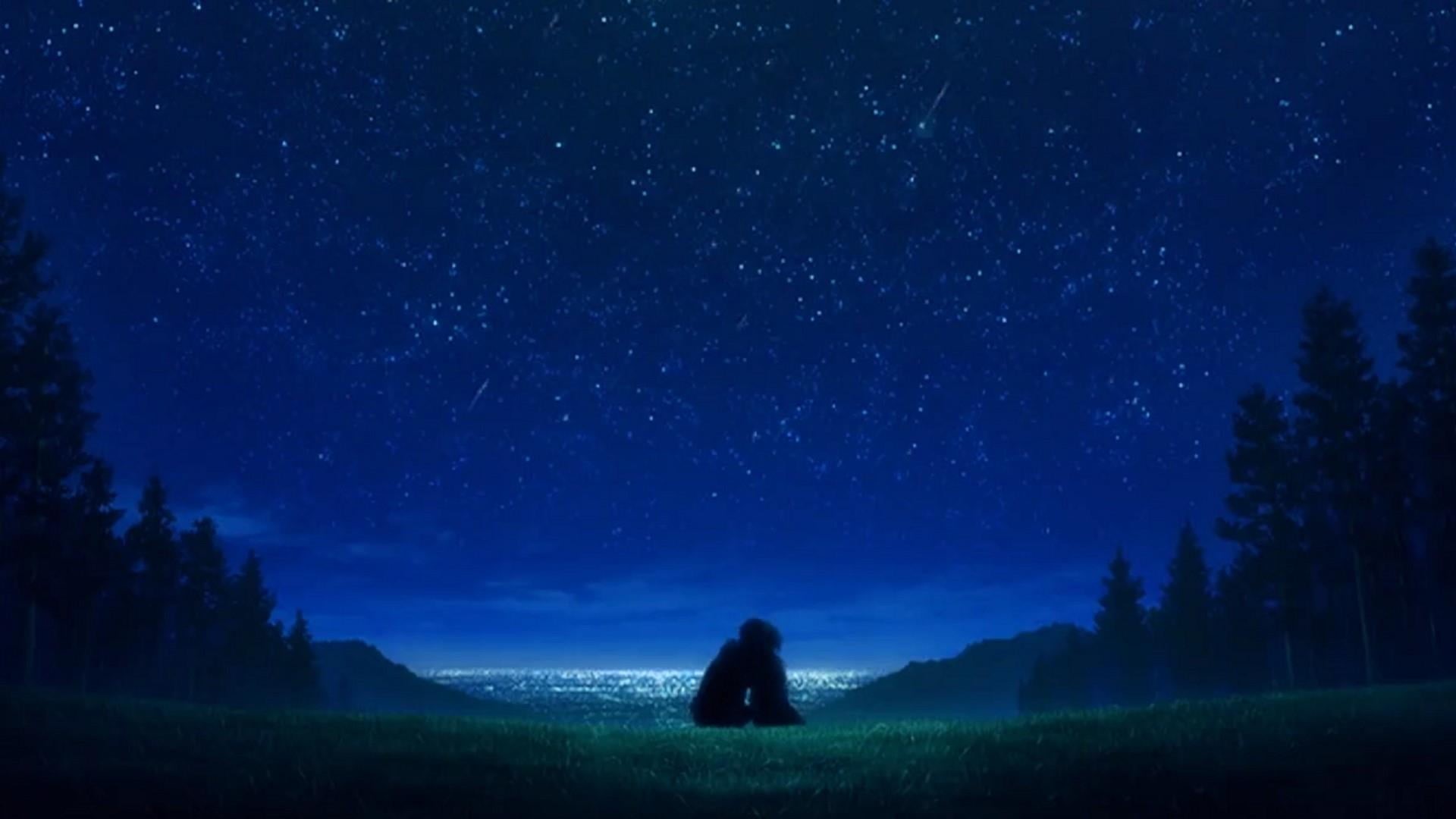 star - space, galaxy, night sky, nature, scenics - nature, starry, anime art, tranquility, space, stars, plant, field, land, night, landscape, dark, beauty in nature, HD Wallpaper