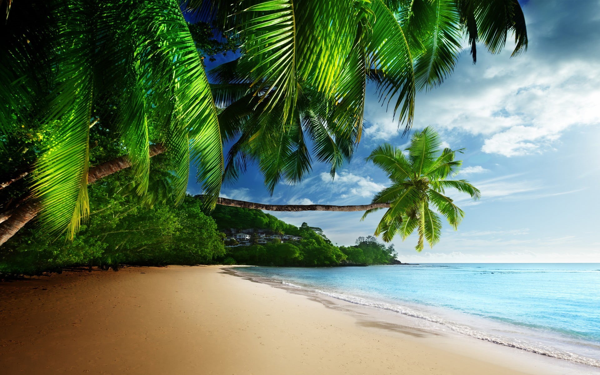horizon over water, beauty in nature, near, tree, tropical, idyllic, no people, water, scenics - nature, land, trees, plant, ocean, nature, sand, HD Wallpaper