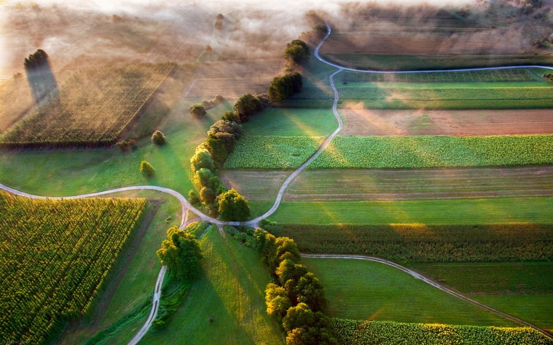 high Angle View, crop, scenics, day, hill, grass, road, outdoors, 1080P, non-Urban Scene, nature, rural Scene, trees, bird, field, photography, tree, growth, HD Wallpaper