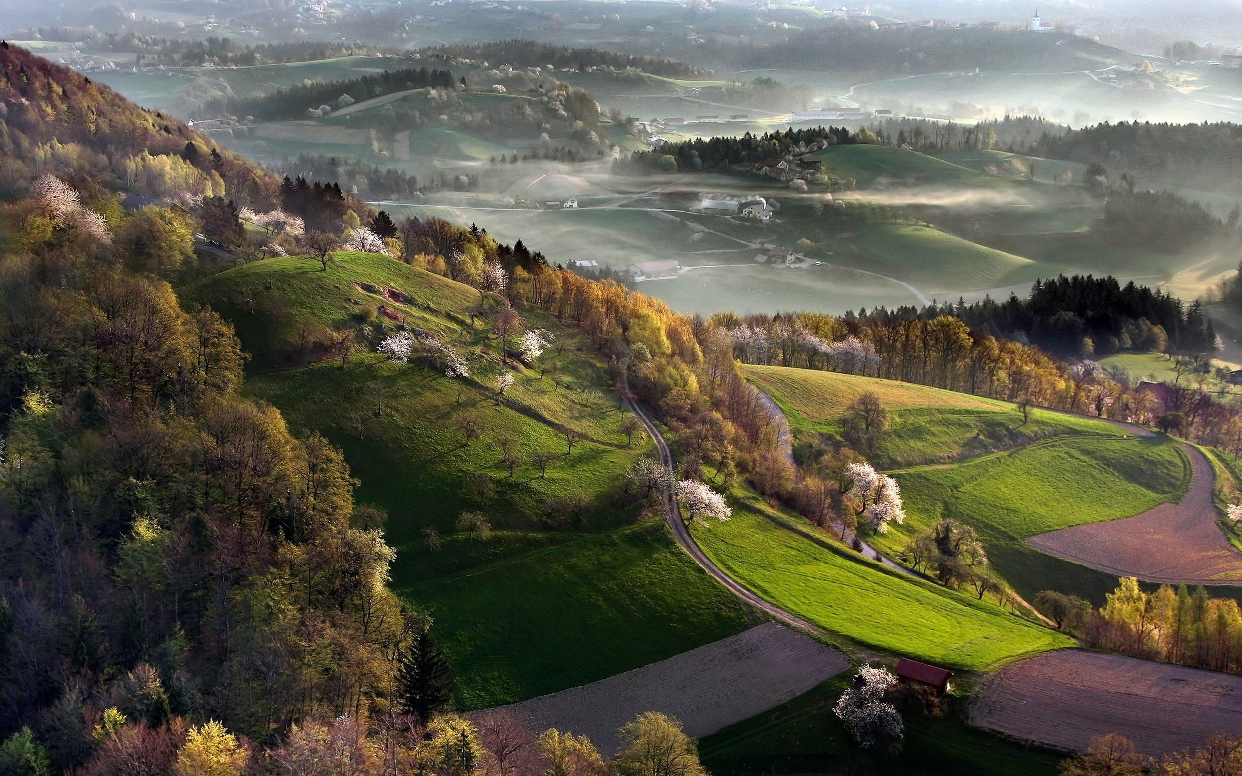 field, Slovenia, villages, plant, green, beauty in nature, tree, scenics - nature, water, landscape, 1080P, non-urban scene, day, tranquility, trees, brown, HD Wallpaper