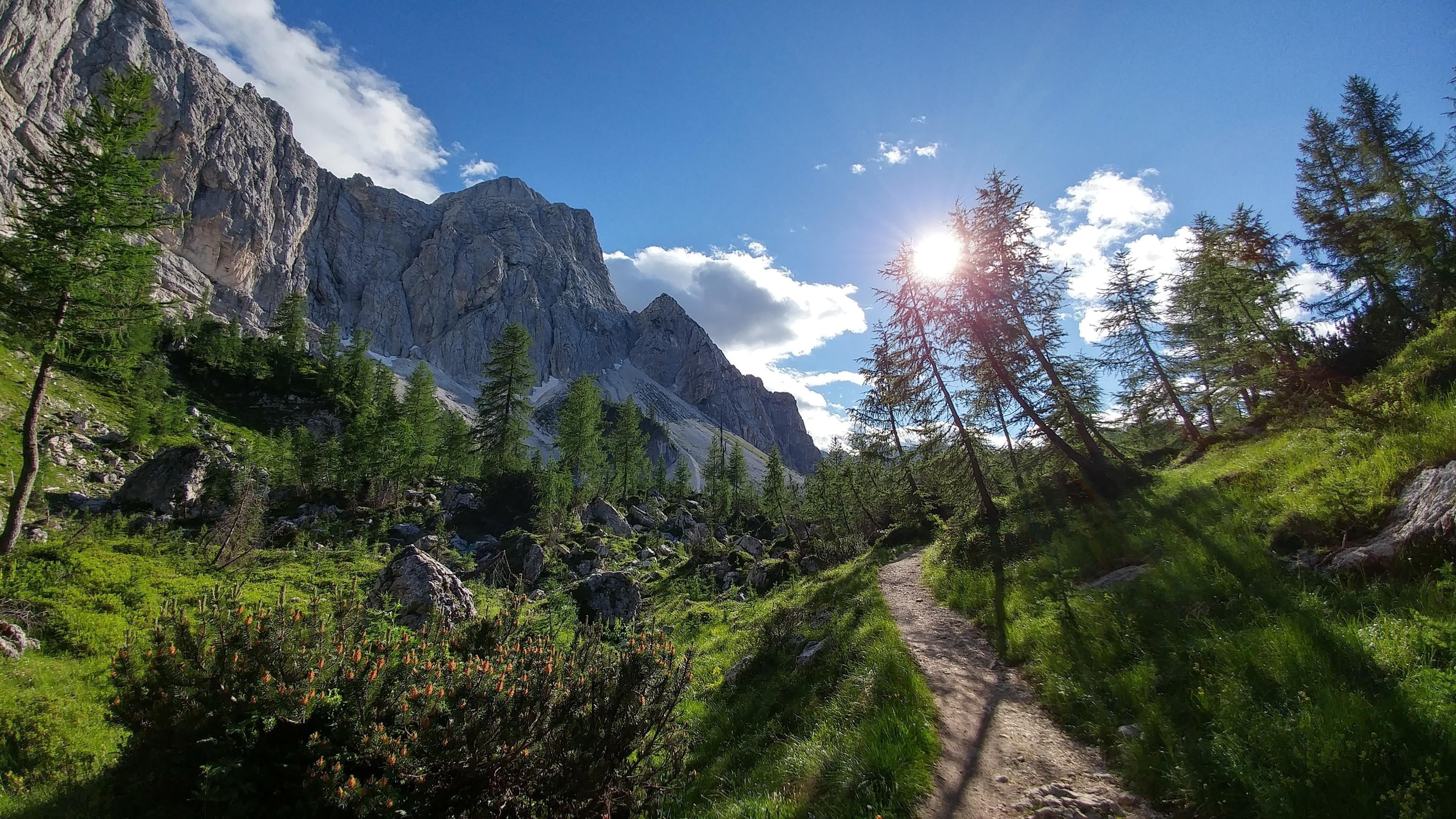 mount scenery, valley, outdoors, forest, mountain, triglav national park, vegetation, wilderness, woody plant, land, coniferous tree, beauty in nature, HD Wallpaper