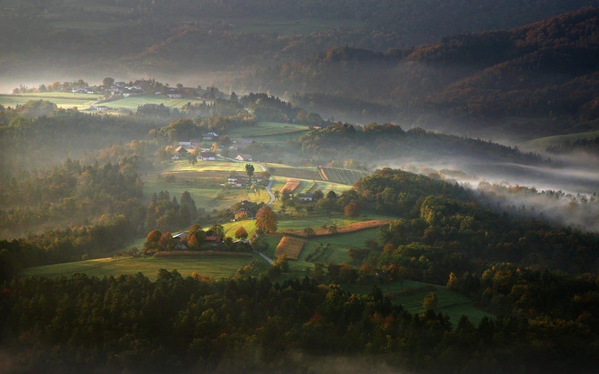 growth, valley, Slovenia, plant, painting, woodland, village, no people, mist, tranquility, mountains, nature, environment, forest, leaf, scenics - nature, HD Wallpaper