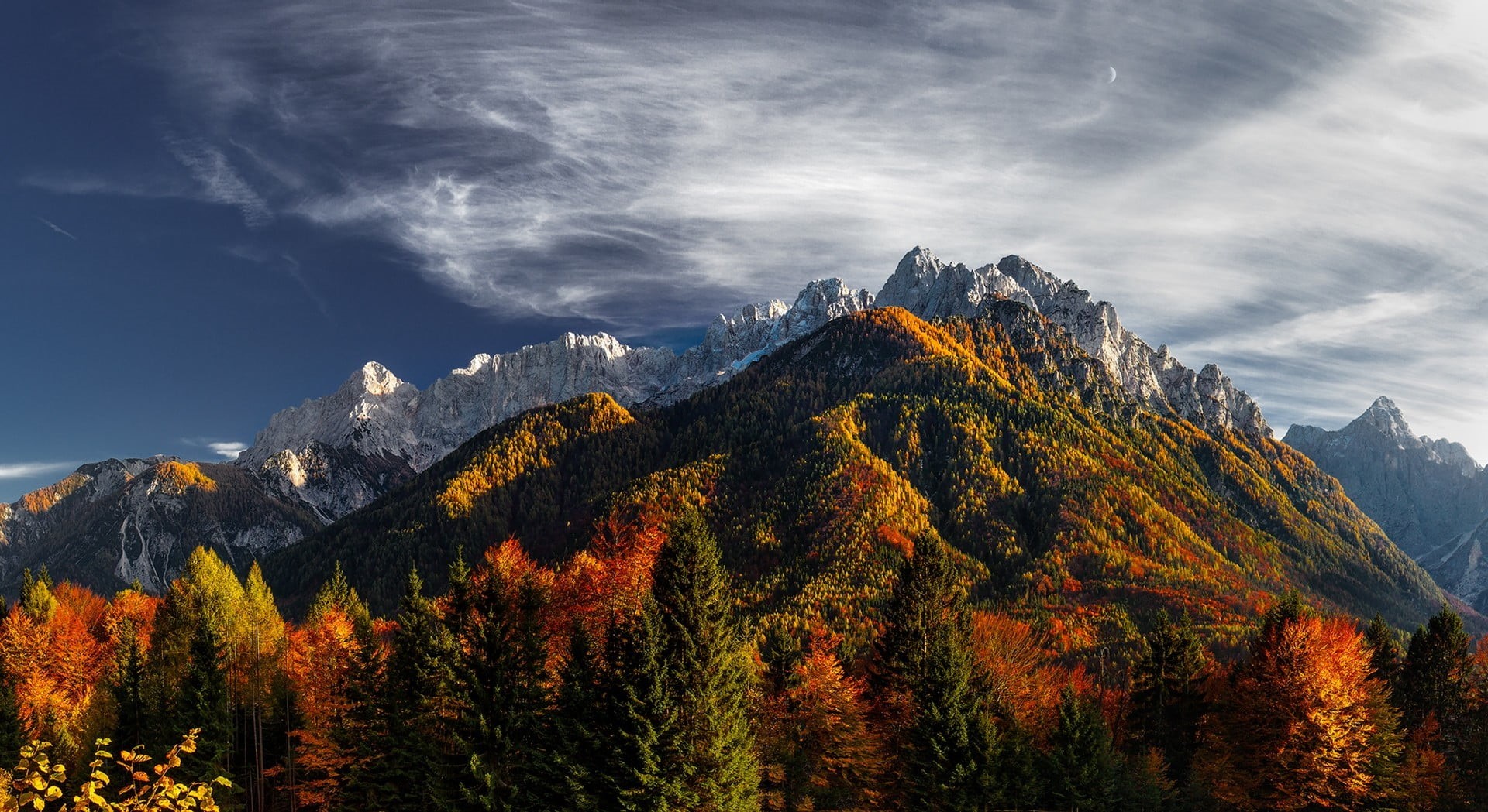 beauty in nature, coniferous tree, nature, outdoors, forest, autumn, no people, fall, mountain range, pine woodland, change, Slovenia, mountains, colorful, HD Wallpaper