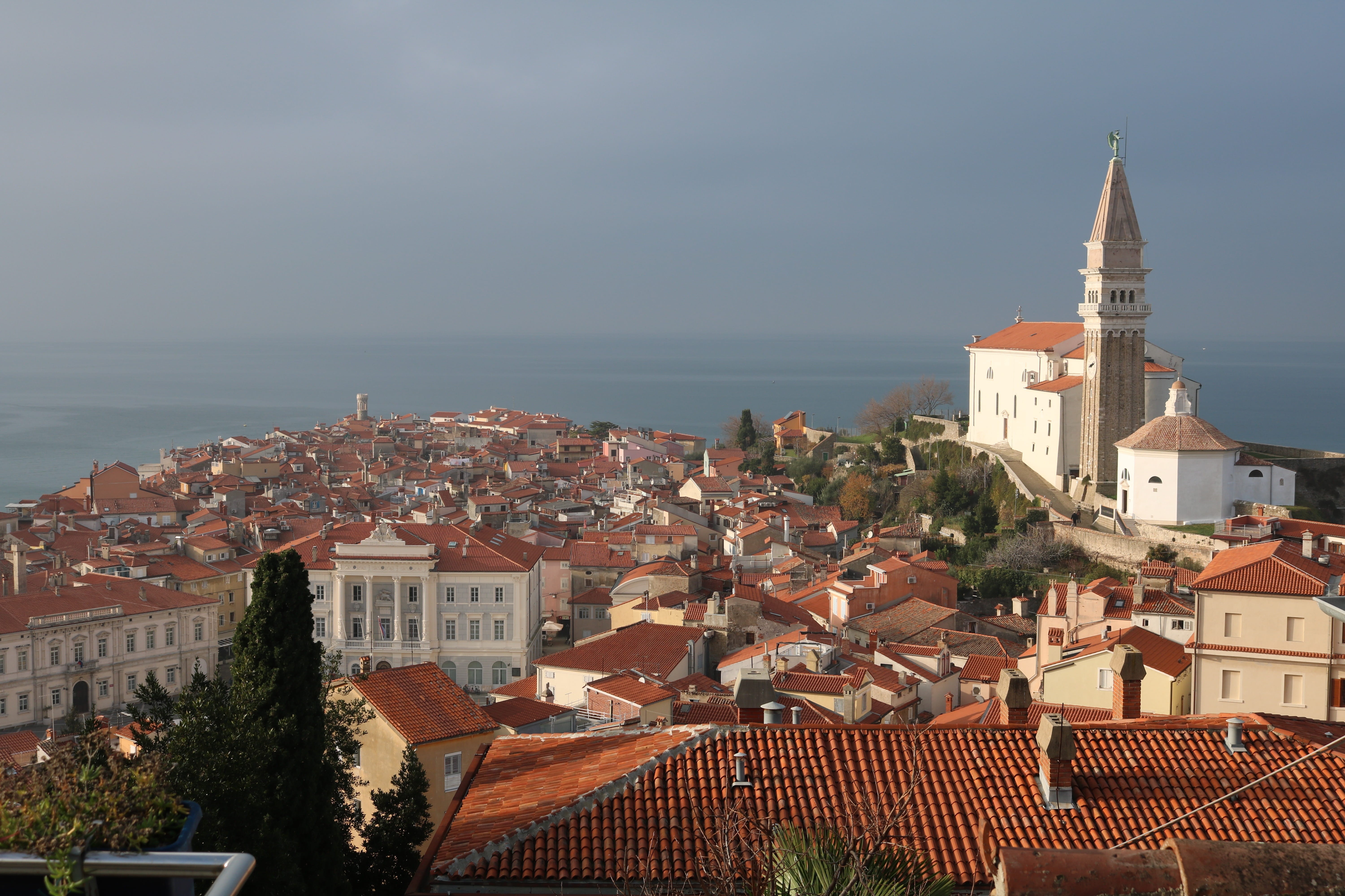spirituality, mediterranean, historic, town, high angle view, belief, 5K, nature, church, touristic, religion, building, piran, water, townscape, old, HD Wallpaper