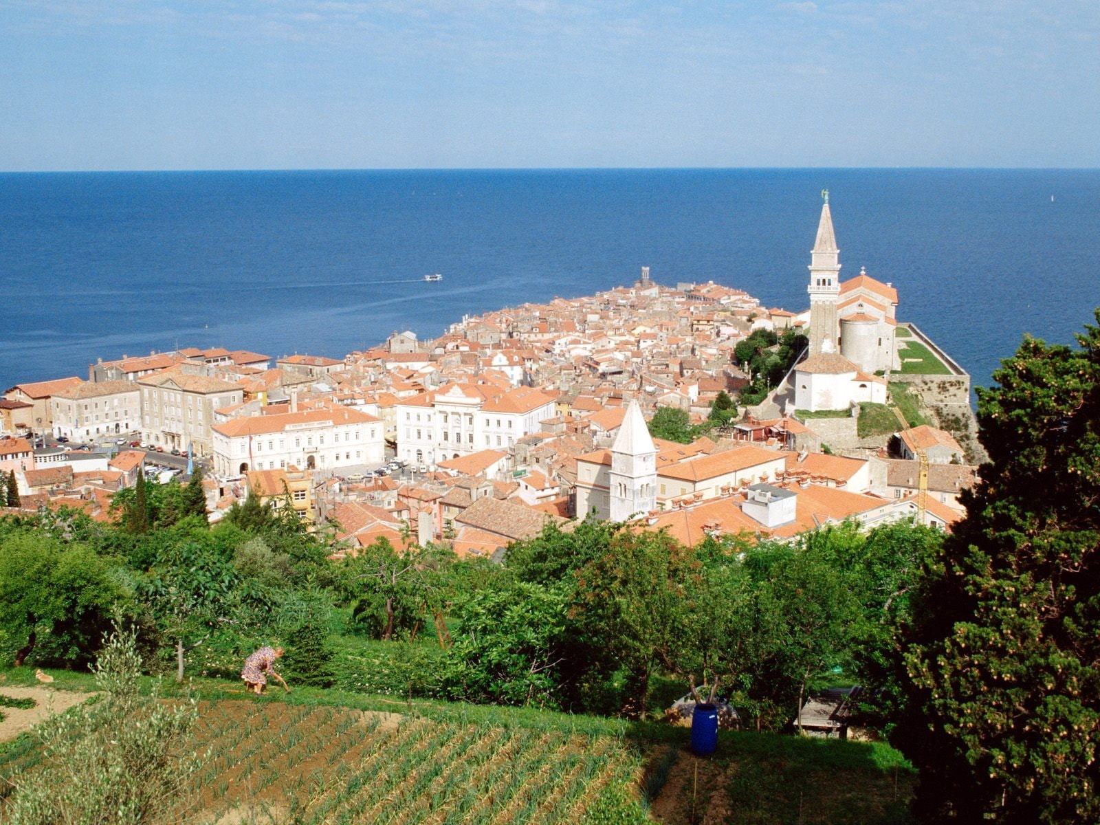 outdoors, no people, nature, cityscape, sky, Slovenia, sea, tree, water, day, high angle view, townscape, plant, city, Piran, roof, built structure, town, HD Wallpaper