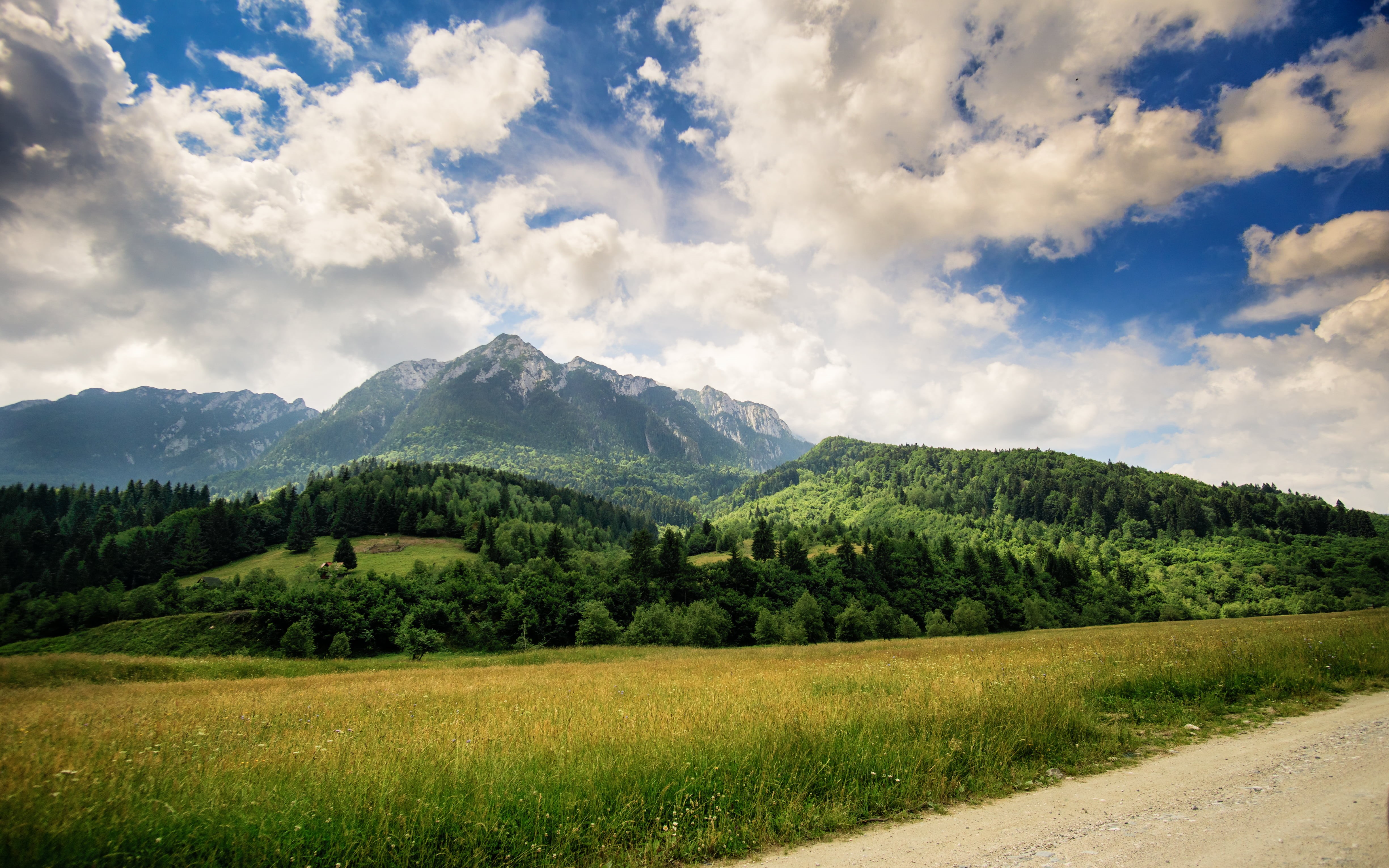 outdoors, 4K, sky, mountain, landscape, nature, green, meadow, rural Scene, forest, cloud - Sky, background, summer, grassfield, tree, green Color, grass, HD Wallpaper