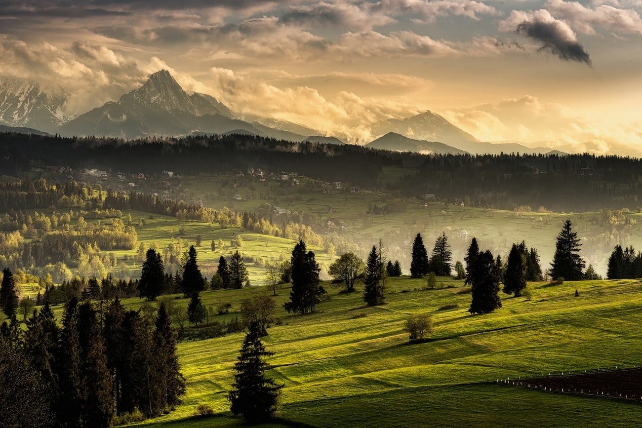 field, green color, nature, environment, forest, idyllic, non-urban scene, no people, grass, mountain, snowy peak, village, tree, growth, scenics - nature, HD Wallpaper