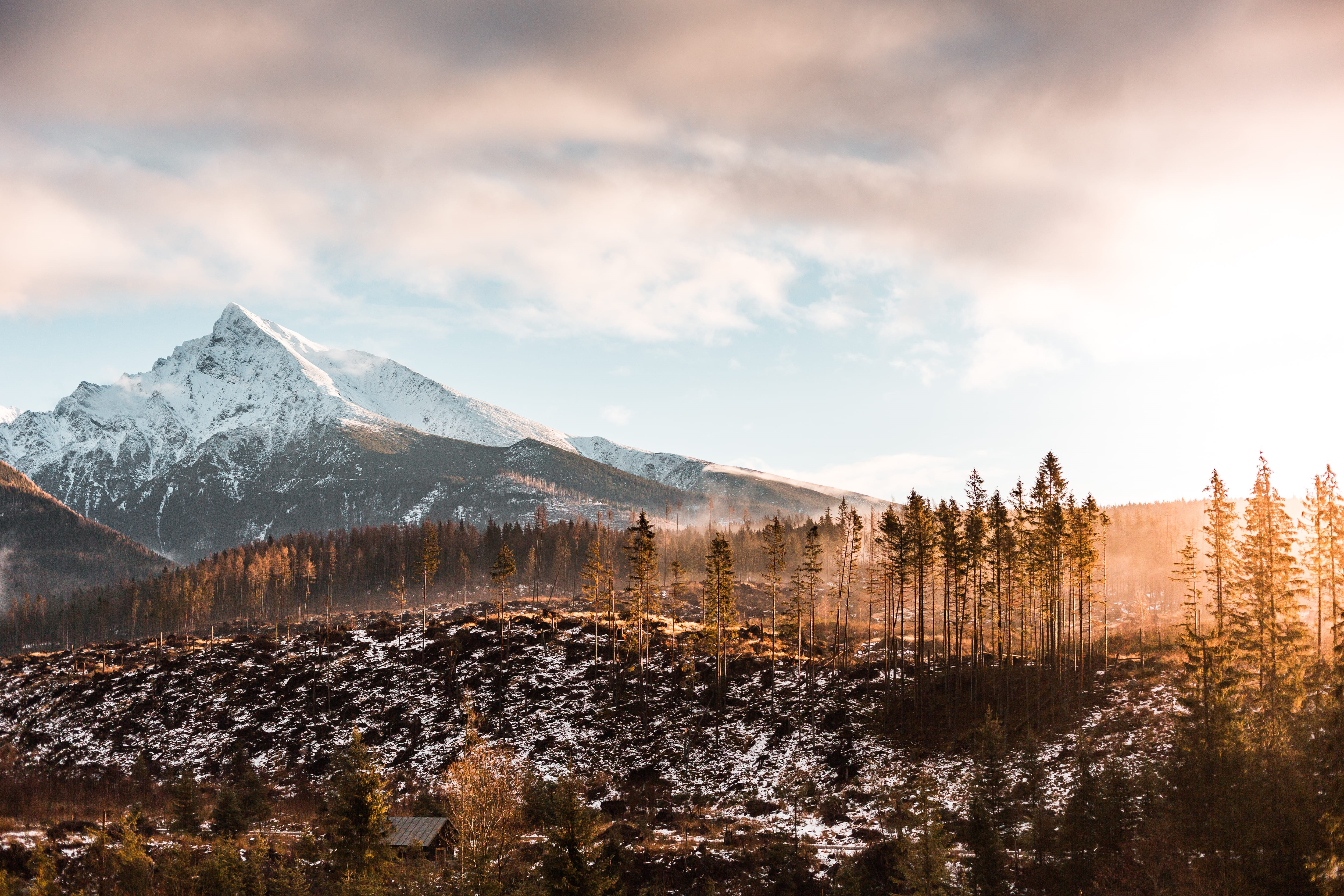 top, pine woodland, forest, europe, no people, snowcapped mountain, mountain range, evening, krivan, fresh air, morning, scenery, mountain, slovakia, woods, HD Wallpaper