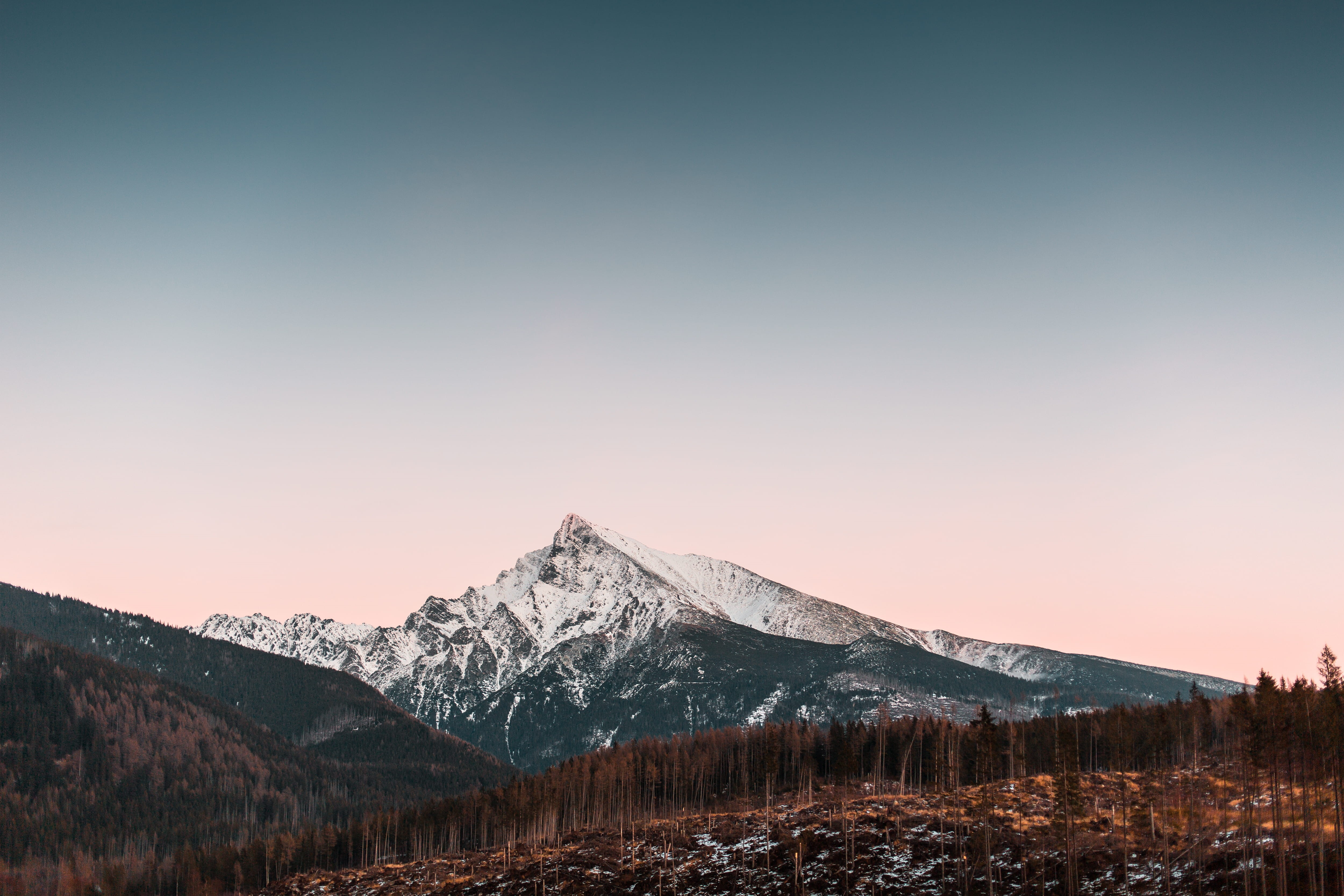 slovakia, evening, snowy, cold temperature, cold, europe, dawn, morning, high tatras, environment, sky, tree, non-urban scene, sunset, forest, winter, sundown, HD Wallpaper
