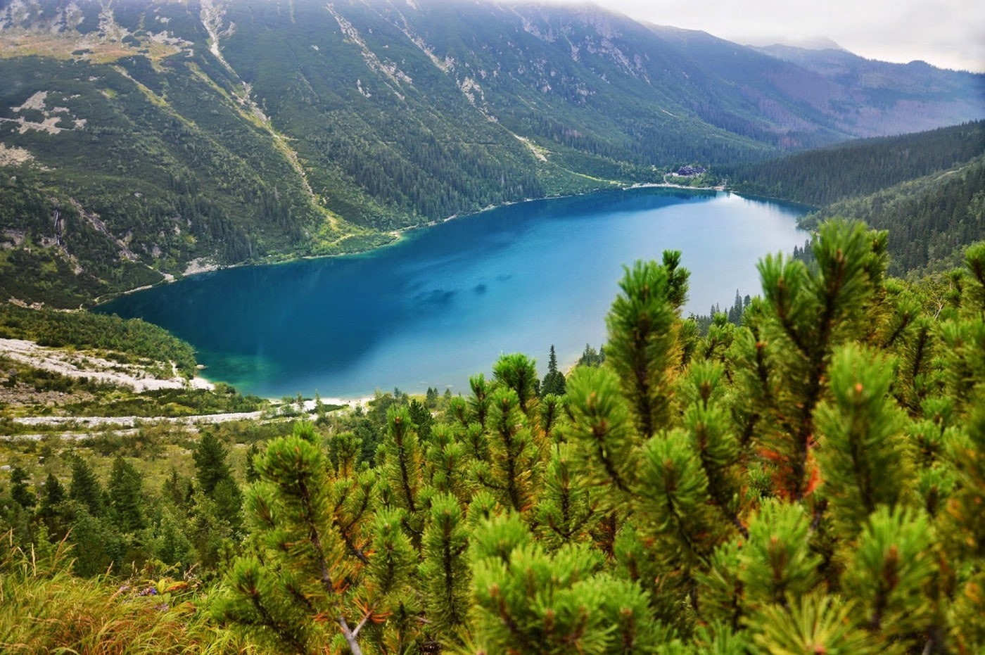 Poland, tranquility, scenics - nature, landscape, idyllic, day, lake, high angle view, non-urban scene, mountain, growth, Tatra Mountains, coniferous tree, HD Wallpaper