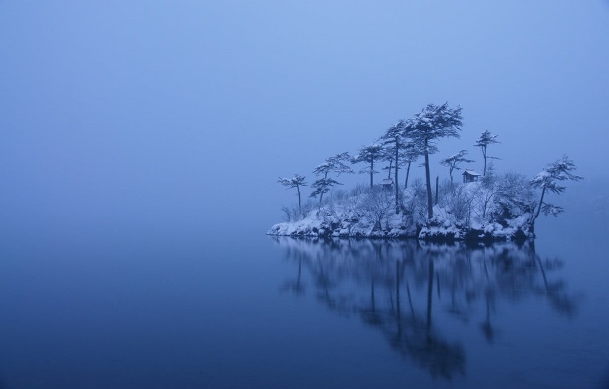 tranquility, morning, no people, plant, beauty in nature, lake, water, trees, tranquil scene, landscape, snow, fog, outdoors, winter, tree, copy space, HD Wallpaper