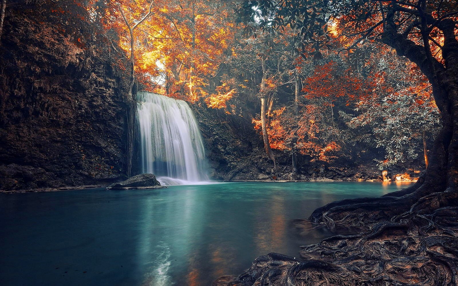 fall, non-urban scene, season, tree, landscape, rainforest, colorful, environment, blurred motion, river, idyllic, green Color, long exposure, power in nature, HD Wallpaper