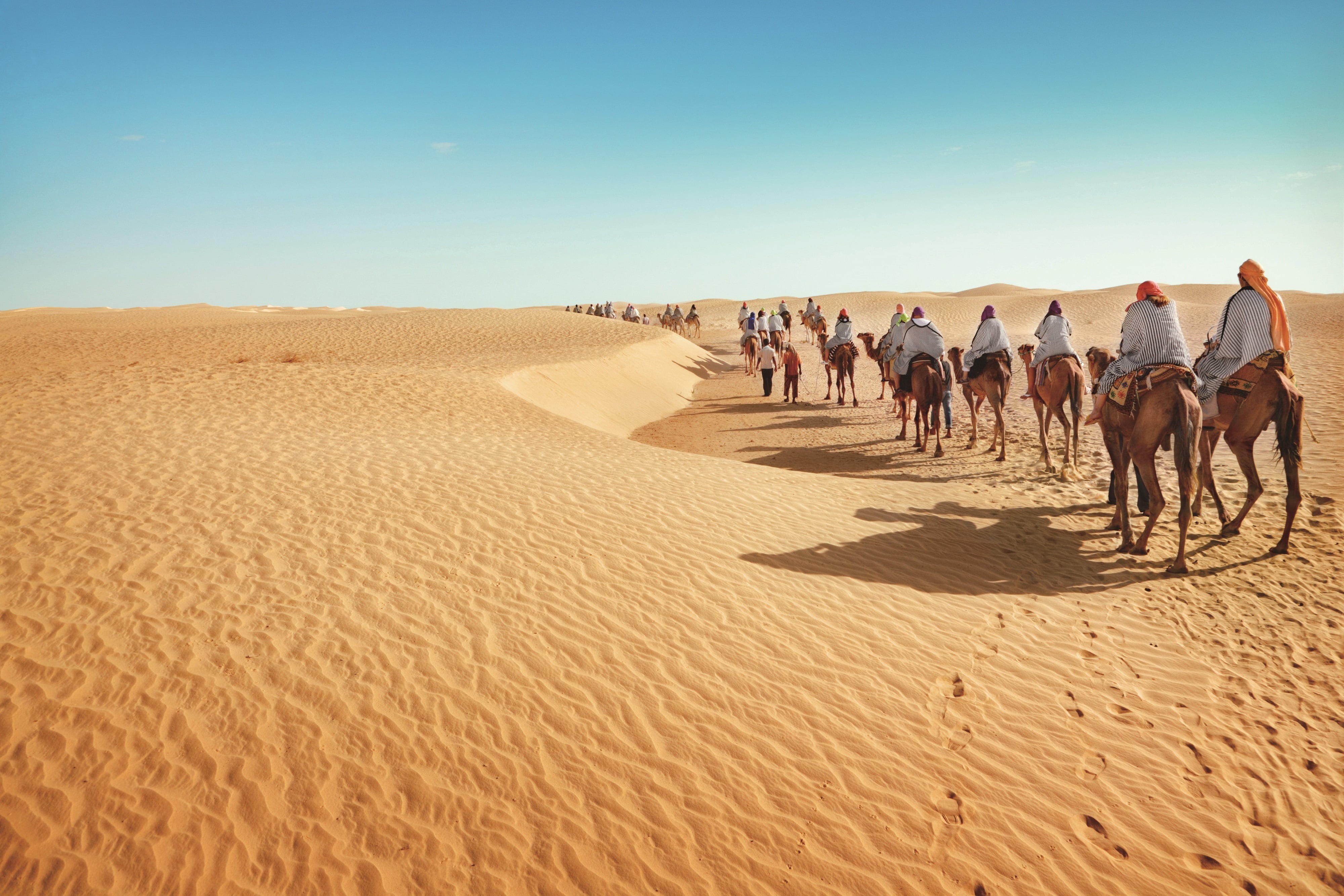 sun, men, morocco, real people, brown, sunset, lot, scenics - nature, people, convoy, north Africa, dry, domestic animals, summer, dromedary Camel, nature, HD Wallpaper