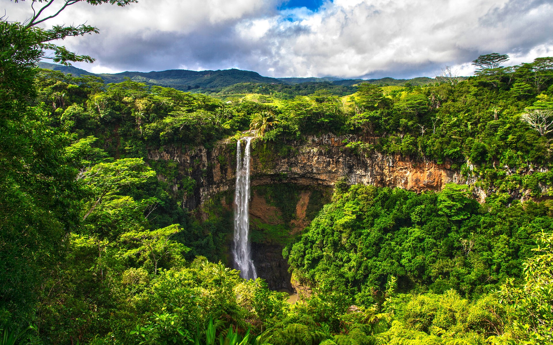 nature, forest, jungle, 1080P, waterfall, hd, HD Wallpaper