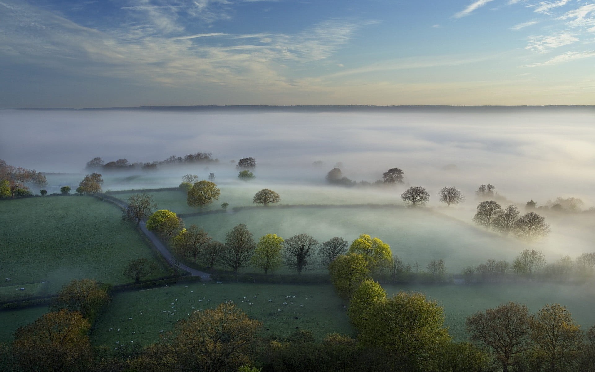 tranquility, remote, painting, forest, grass, field, mist, clouds, cloud - sky, UK, hills, green, 1080P, tranquil scene, tree, hazy, beauty in nature, HD Wallpaper