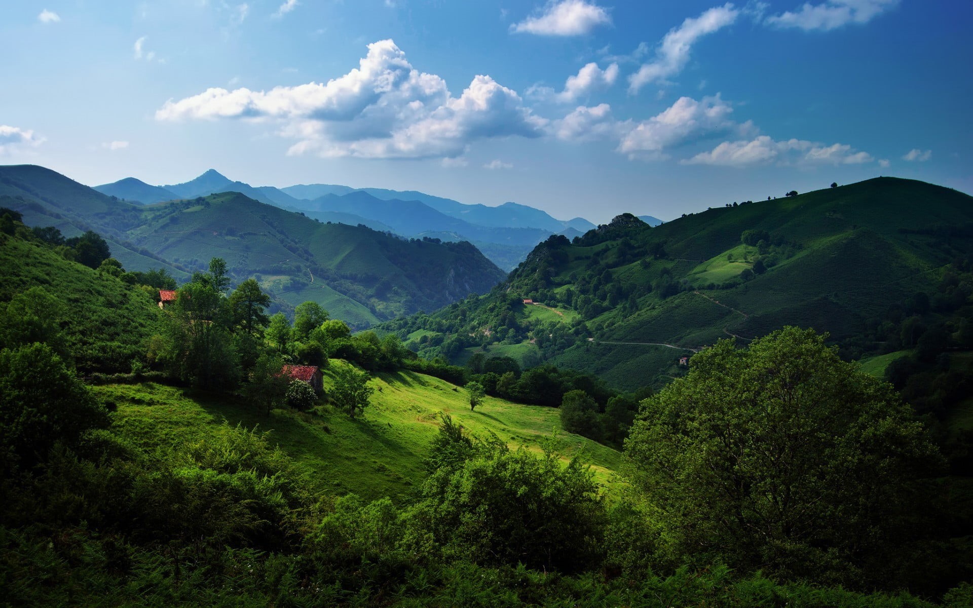 cloud - sky, tranquility, scenics - nature, tea crop, mountain range, plantation, 1080P, mountains, idyllic, no people, outdoors, nature, environment, HD Wallpaper