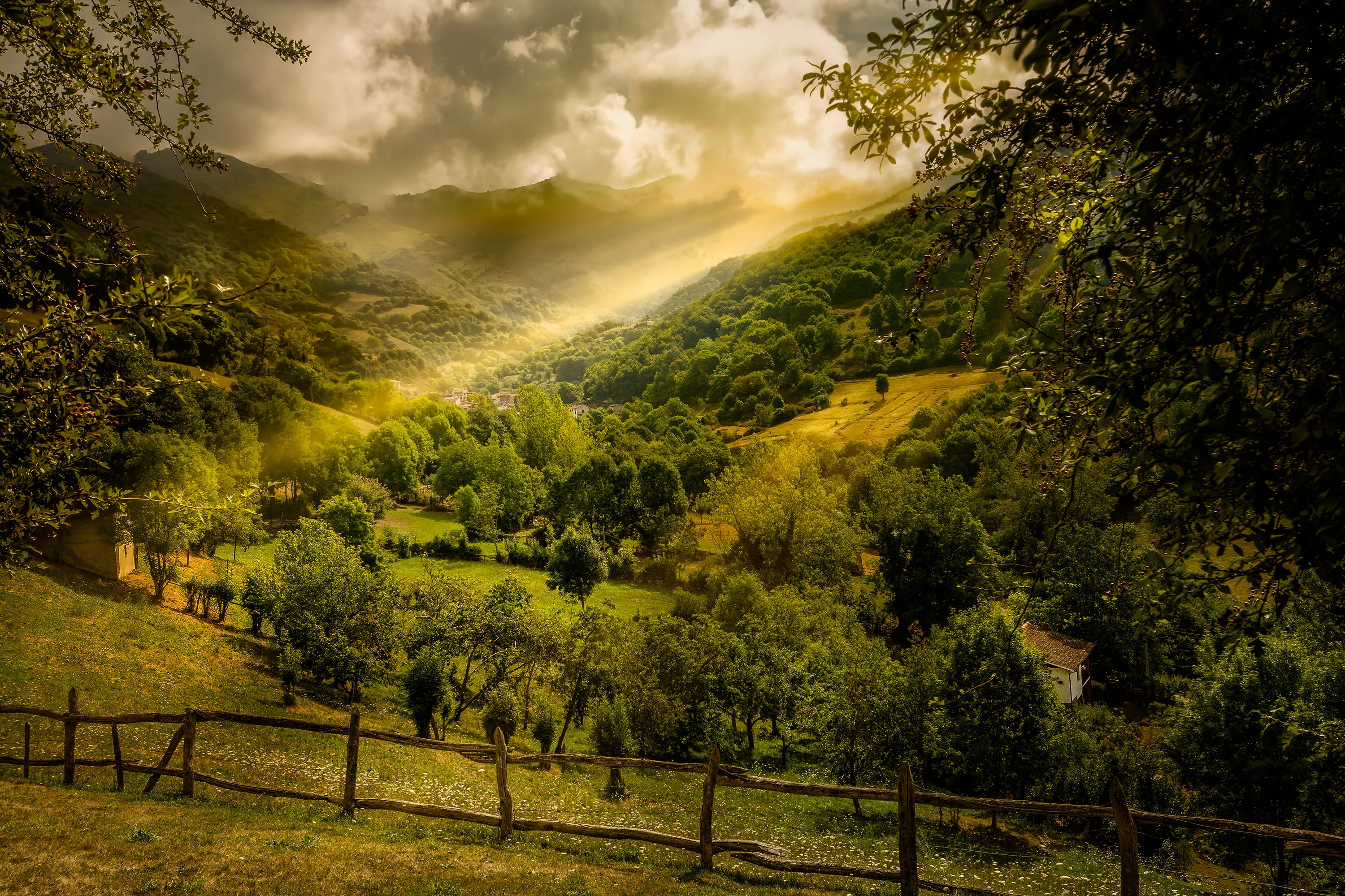 tree, nature, leaves, trees, hill, rural Scene, lena  asturias, green, mountain, spain, green leaves, scenics, green Color, 2K, landscape, de, forest, HD Wallpaper