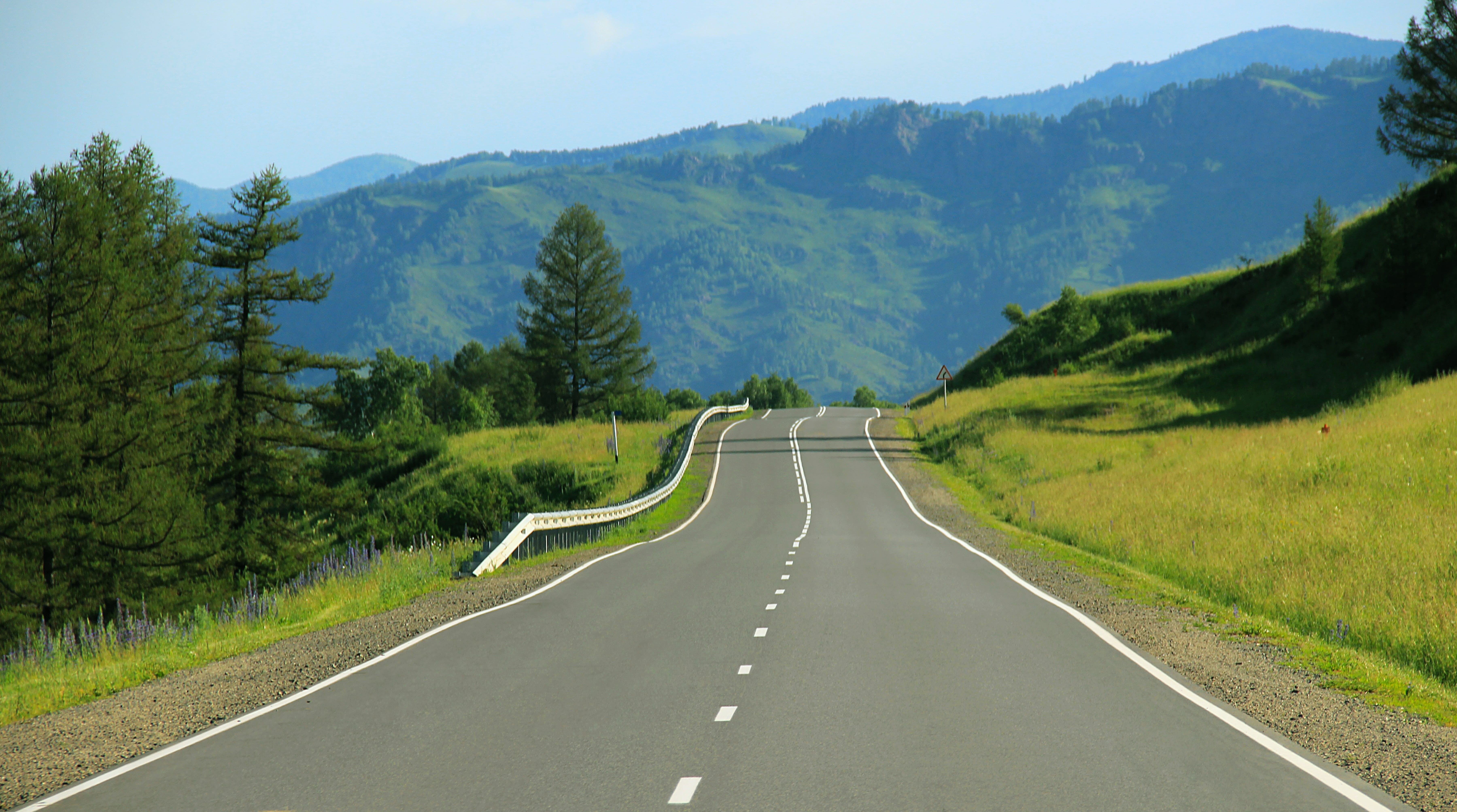 symbol, grass, green Color, concrete, forest, route, diminishing perspective, summer, no People, road, the way forward, trees, sky, road trip, scenics, HD Wallpaper