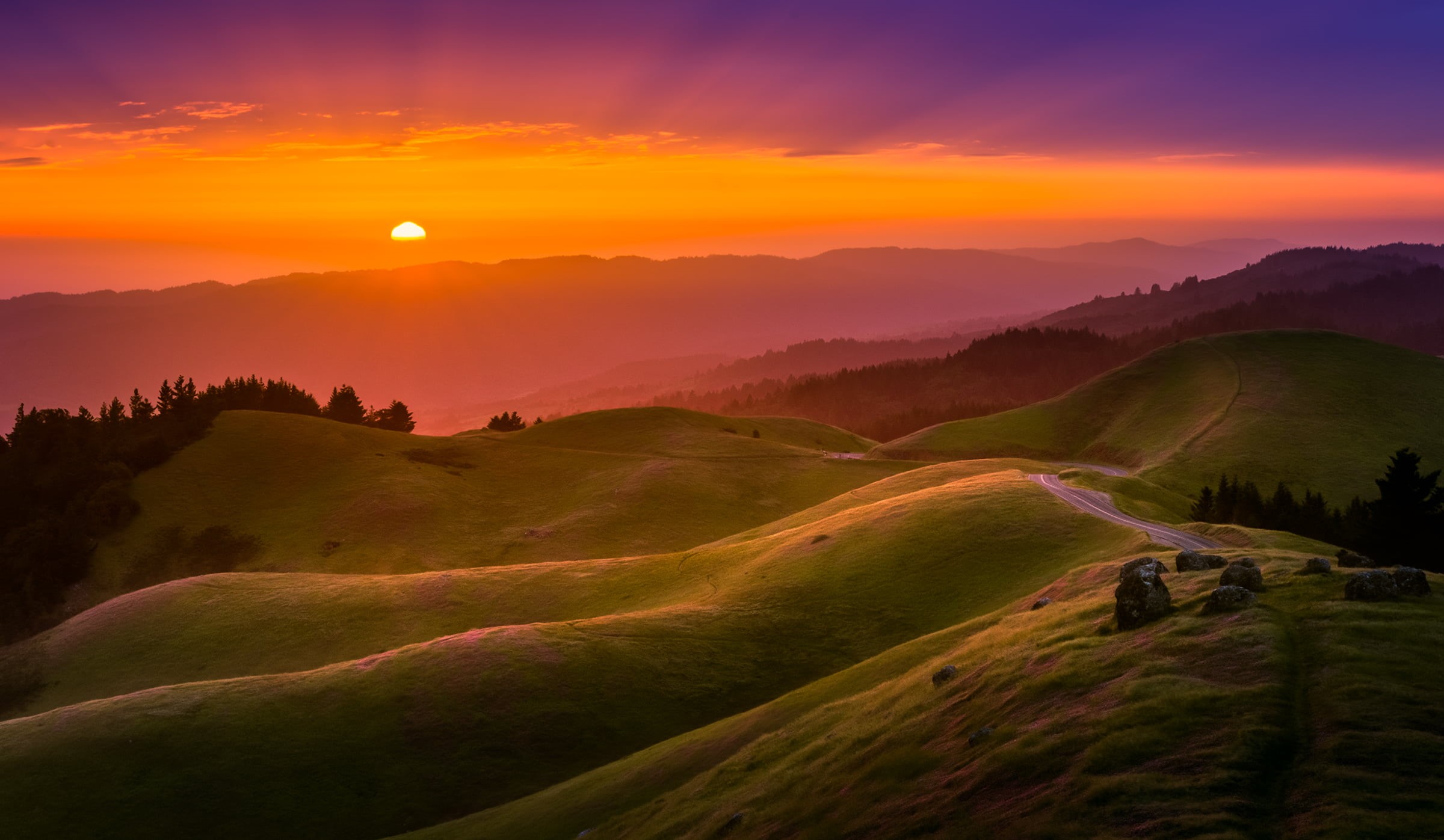 hill, covered, landscape, mountain, forest, scenics, Bay Area, nature, 1080P, Tam, grass, sky, Mt, evening, fog, outdoors, Sunset, golden, light, dawn, HD Wallpaper