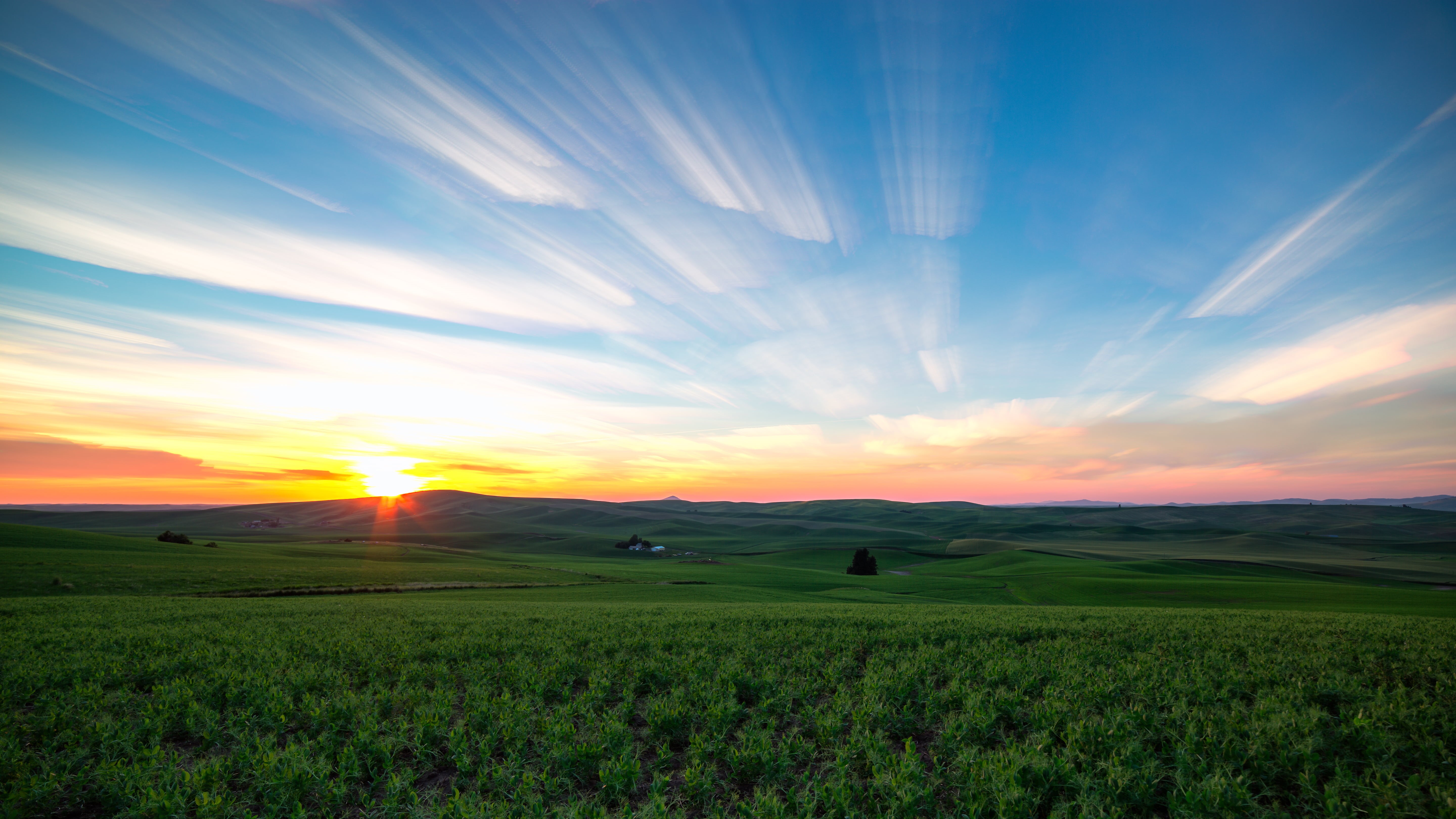 hill, MC, palouse, landscape, Samyang, meadow, non-Urban Scene, agriculture, cloud - Sky, 5K, farm, Memory, sunrise, Aspherical, scenics, photo, field, HD Wallpaper