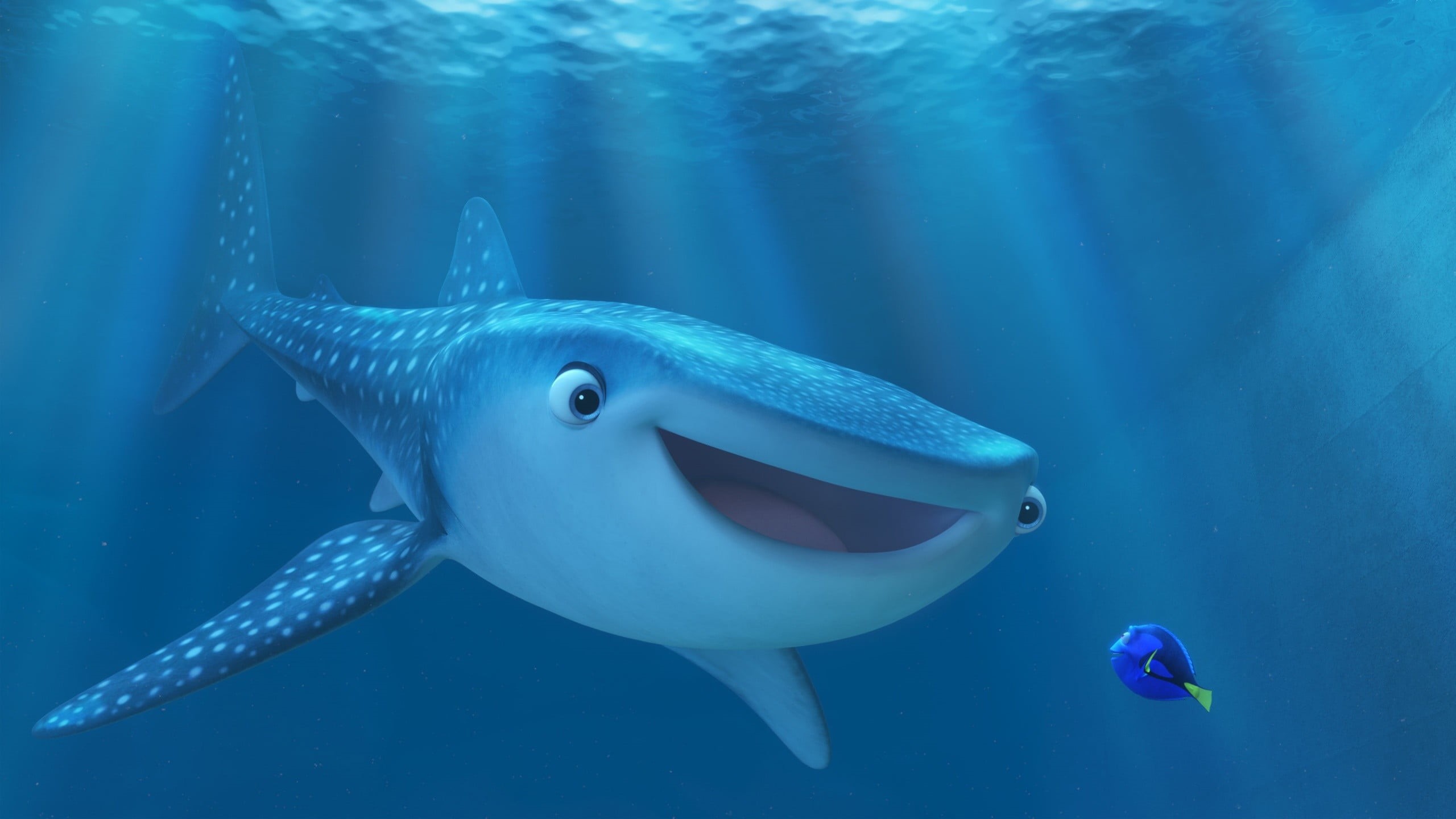 movie, sea life, animal themes, finding, sea, no people, swimming, undersea, animals in the wild, underwater, one animal, movies, 2K, still, close-up, HD Wallpaper