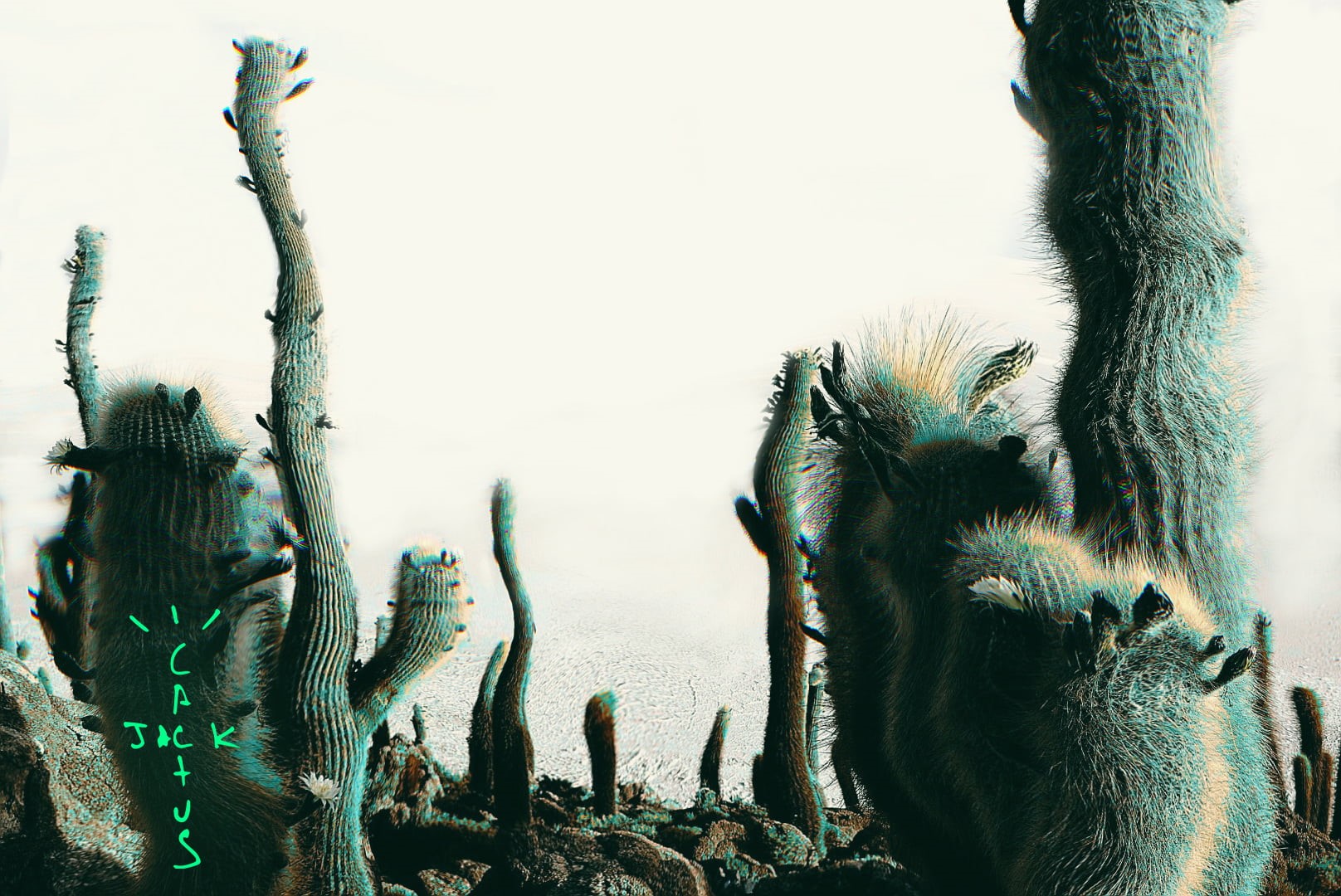 #cactus, #cactus #cactusjack #jack, 720P, HD Wallpaper