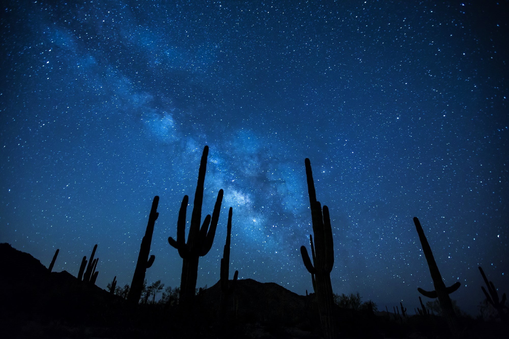 Silhouette, Cactus, Stars, Starry Sky, Night, Desert, Galaxy, Milky Way, Sky, 1080P, Earth, HD Wallpaper